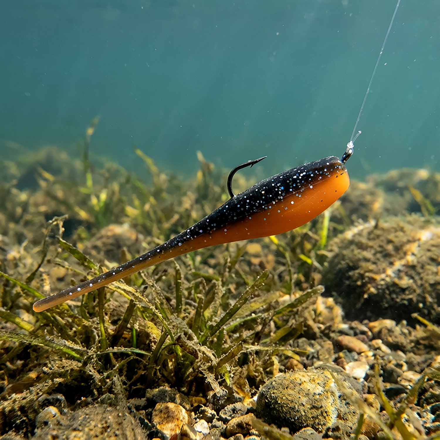 Bobby Garland 2 in Baby Shad - view number 2