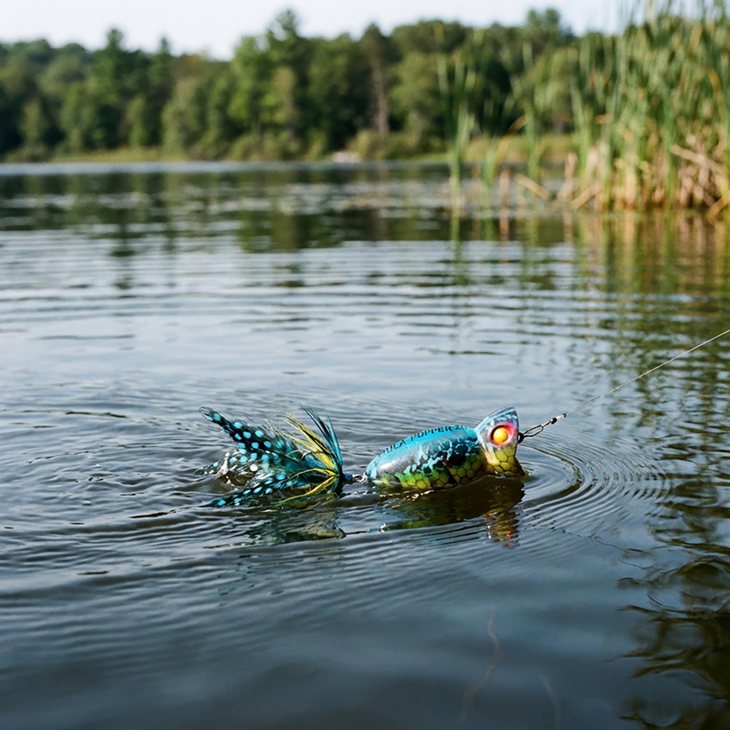 Arbogast Hula Popper 2.0 Lure - view number 5