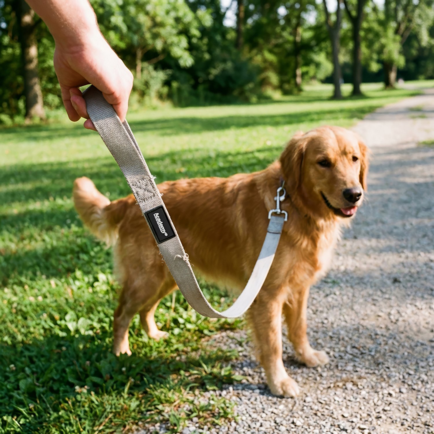Academy Sports + Outdoors 5 ft Nylon Dog Leash - view number 5