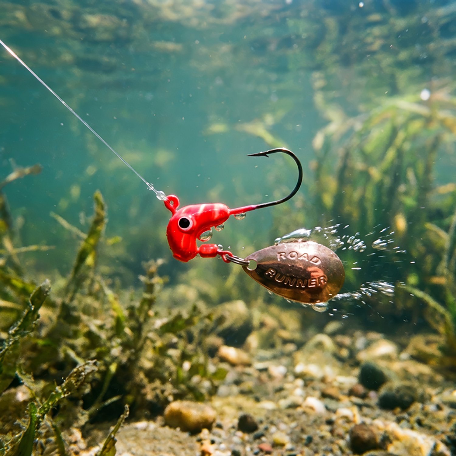 Blakemore Original Road Runner Heads 4-Pack - view number 4