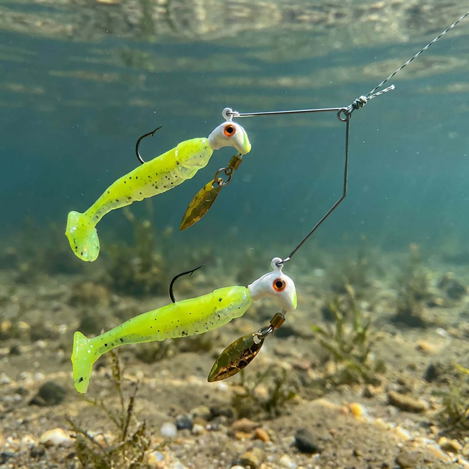 Blakemore Bang Shad Buffet Rig                                                                                                   - view number 4