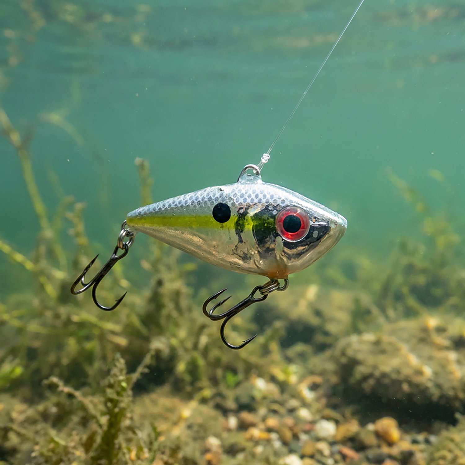 Strike King 3/16 oz Bitsy Shad Bait - view number 2