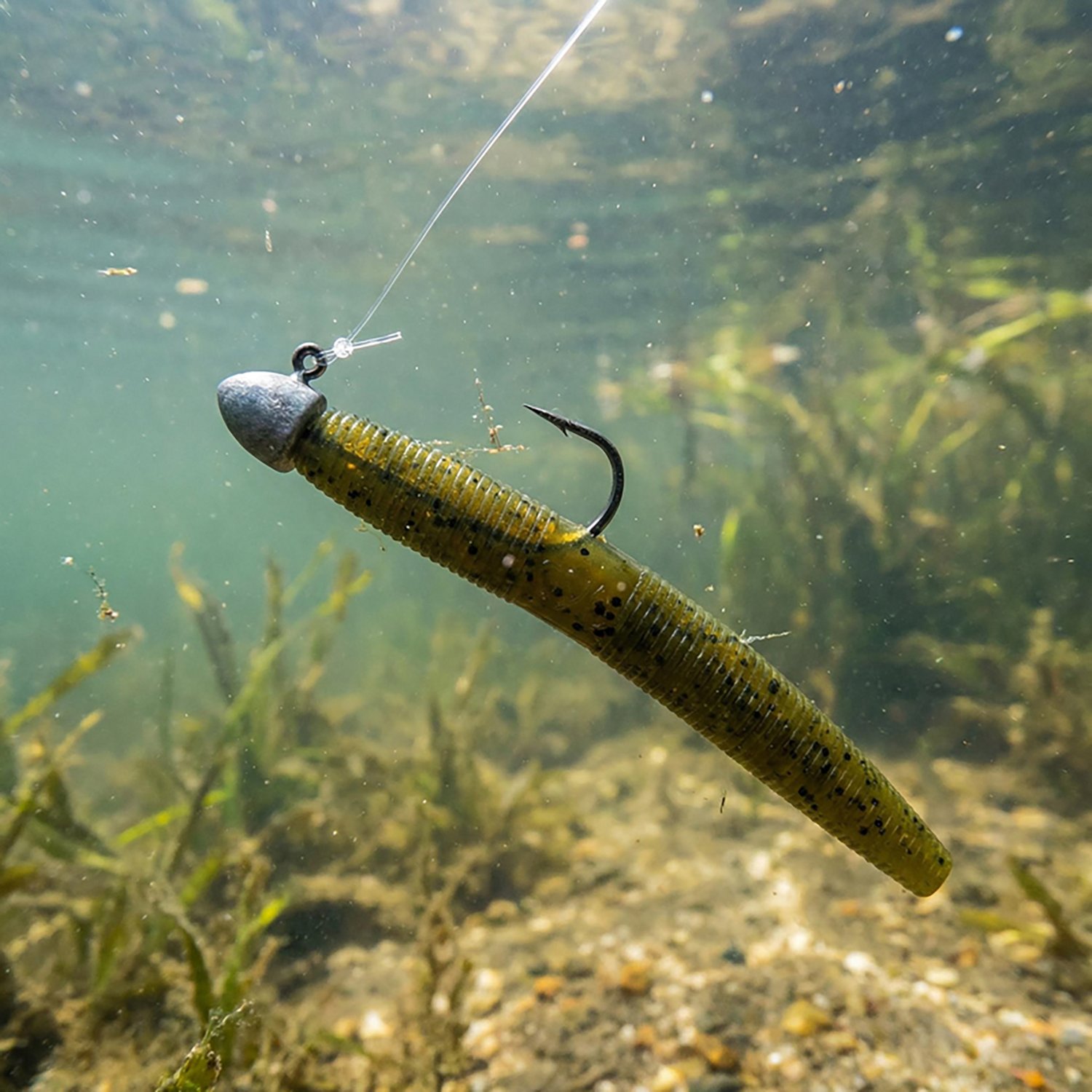 Yamamoto 5 in Fat Senko Stick Baits 10-Pack                                                                                      - view number 2