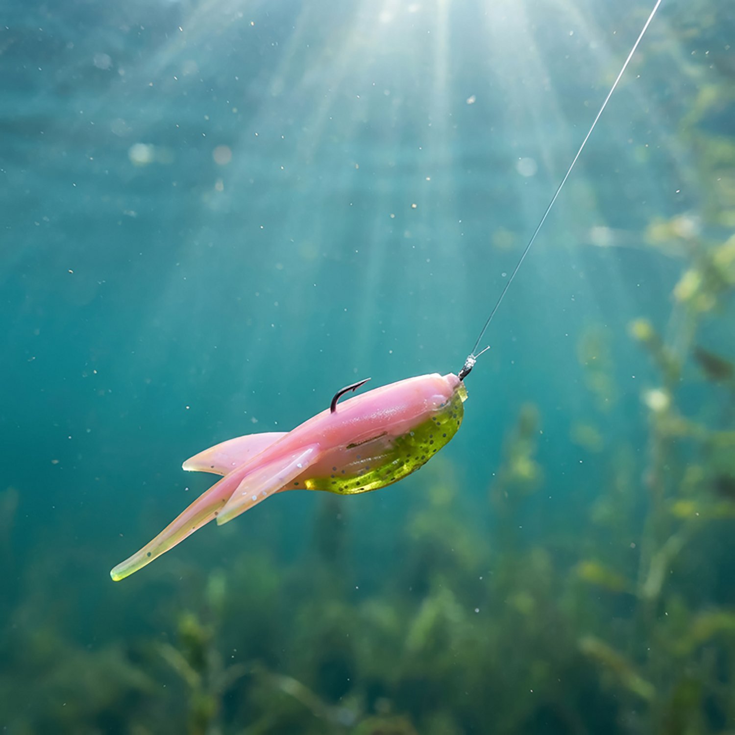 Strike King 1.5 in Sugar Glider Bait - view number 2