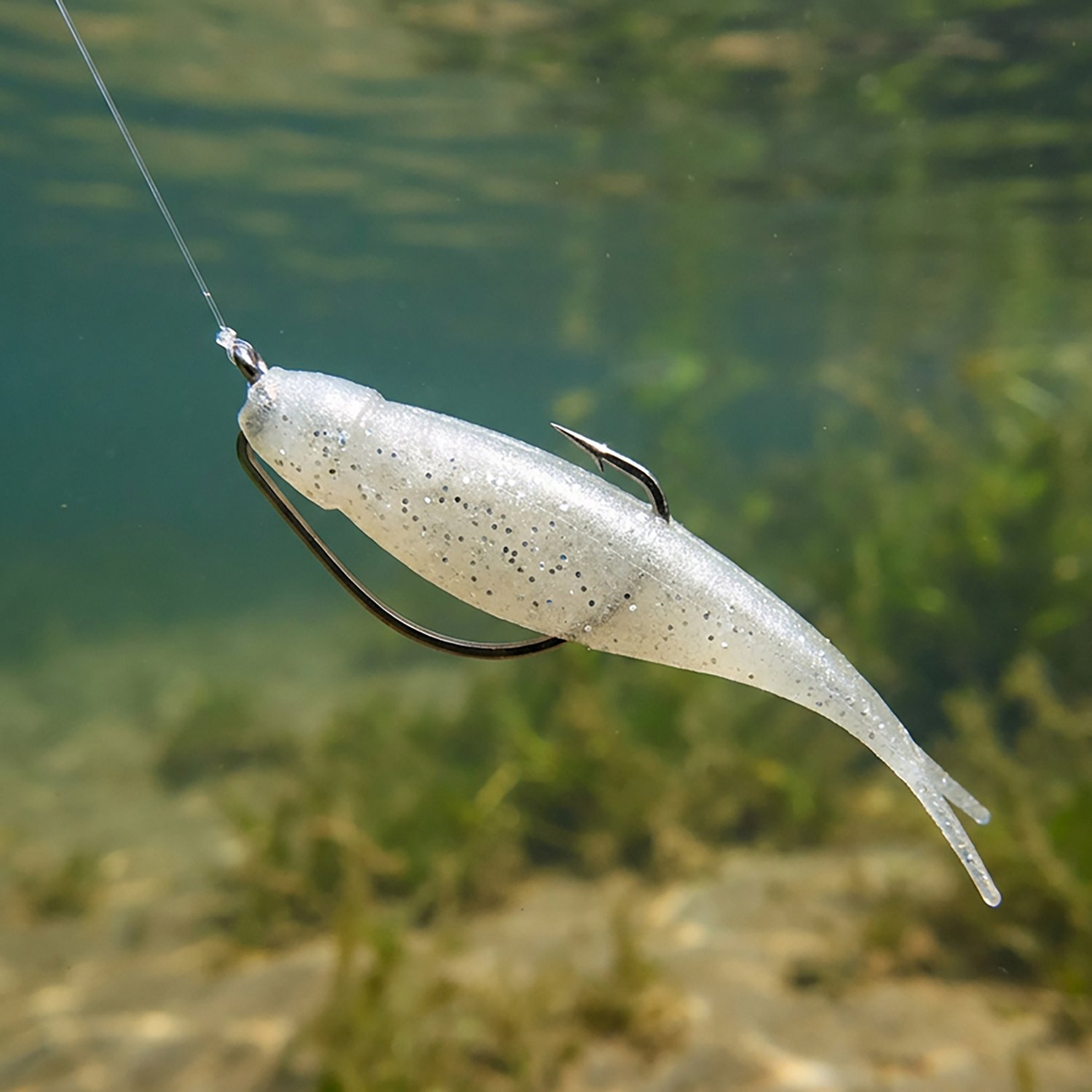 Strike King Baby Z-Too 3.5 in Glimmer Back                                                                                       - view number 5