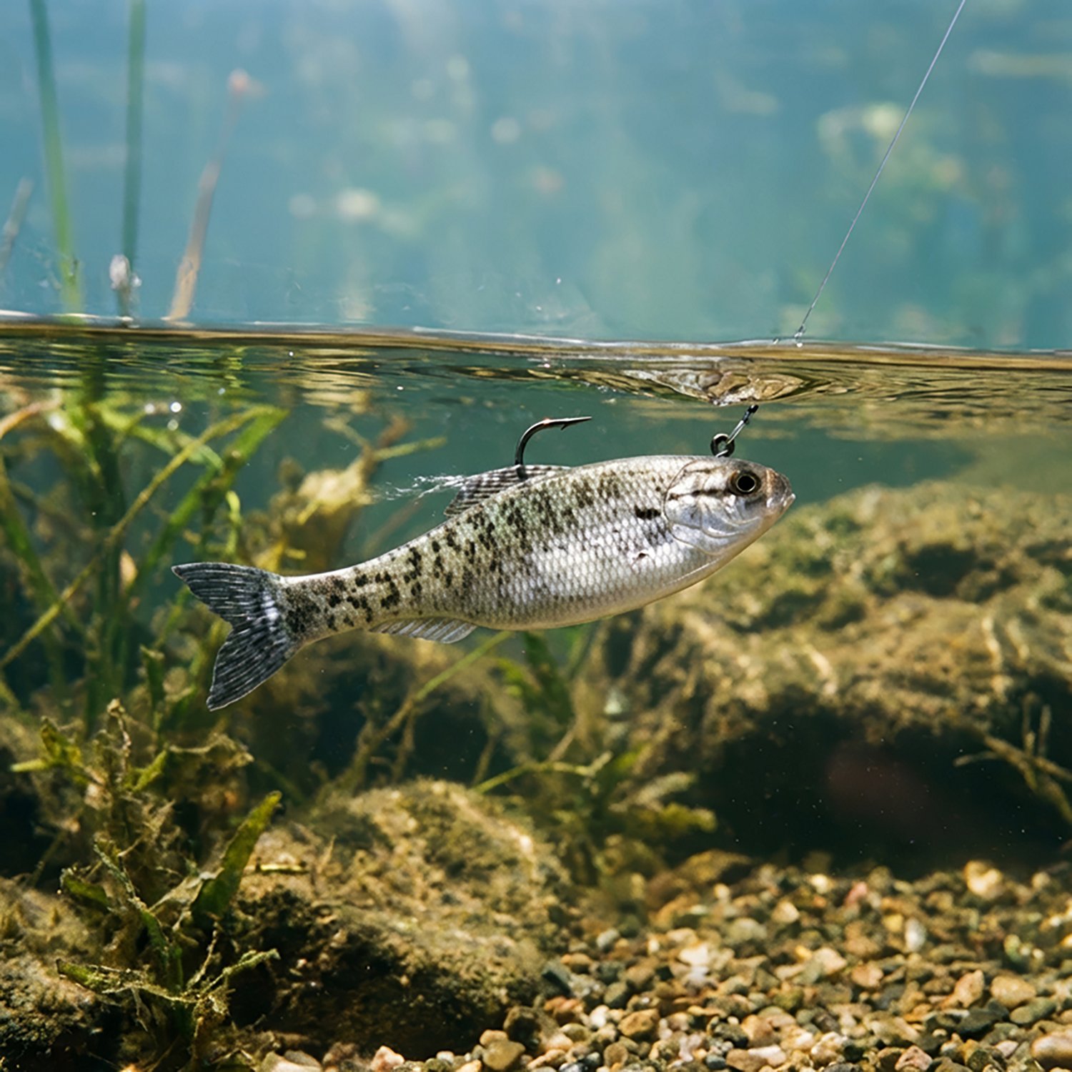 6th Sense Panorama 3.5 in Soft Baits 6-Pack - view number 3