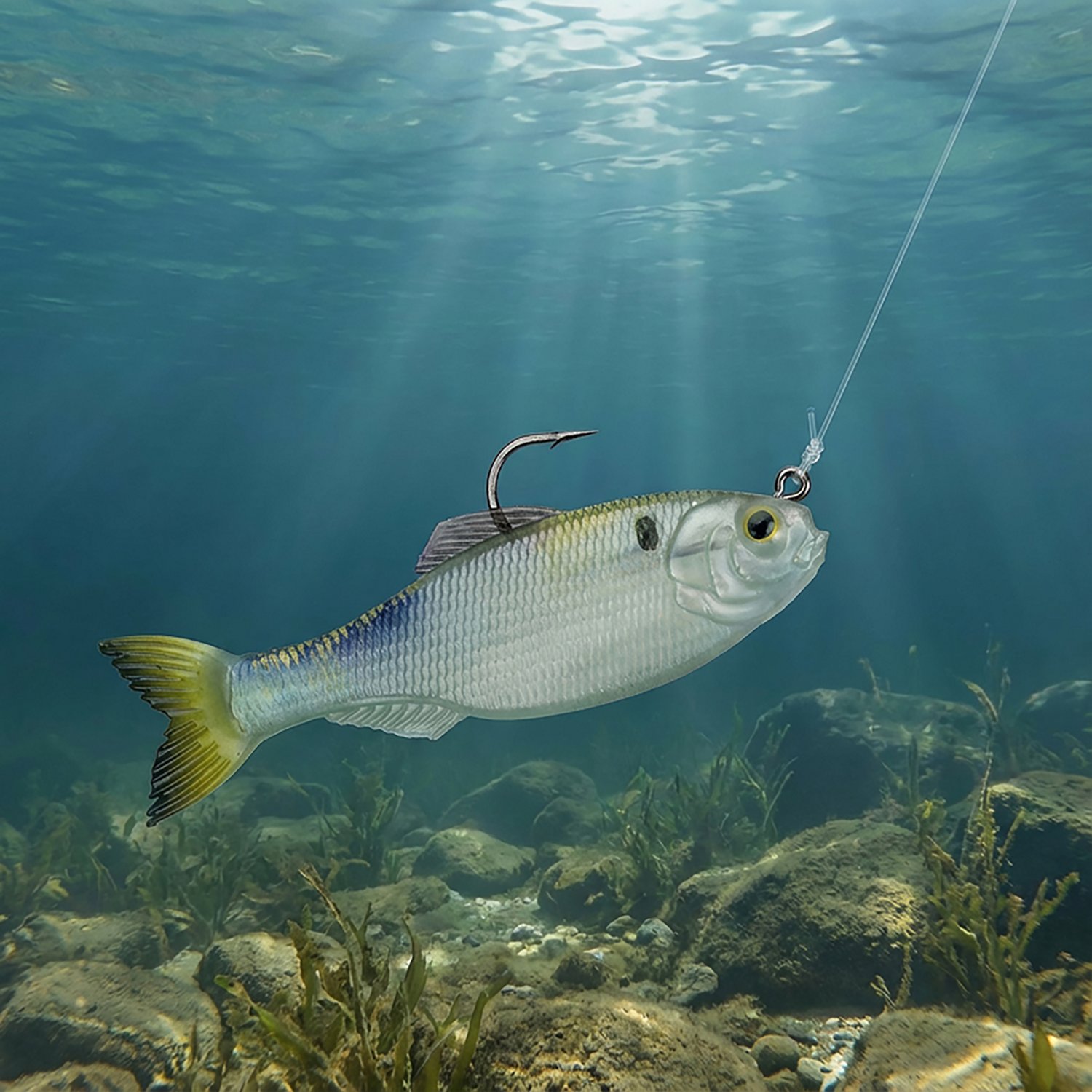 6th Sense Panorama 6.5 in Soft Baits 2-Pack - view number 2