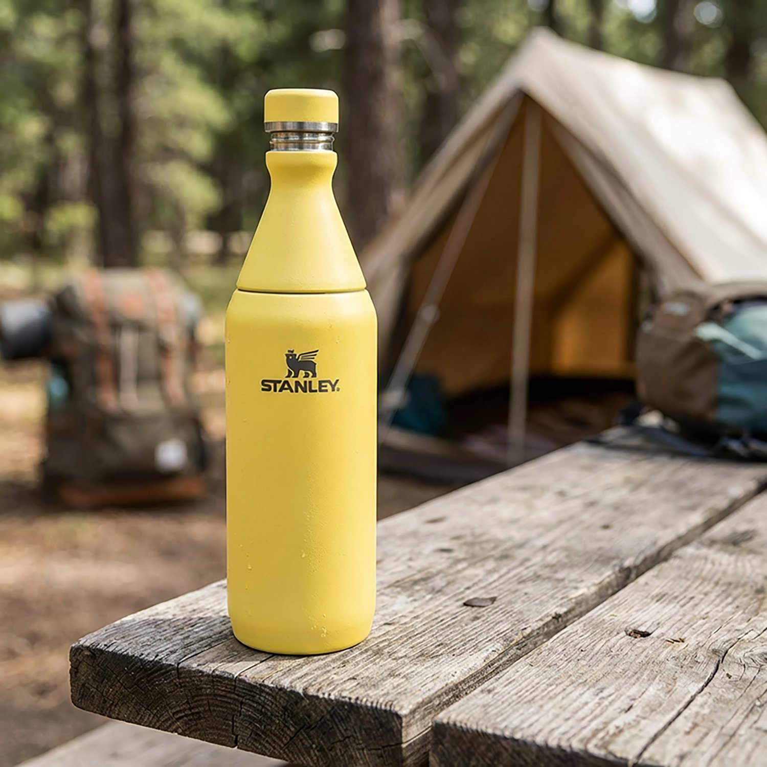 Stanley All Day 20 oz Slim Bottle - view number 5