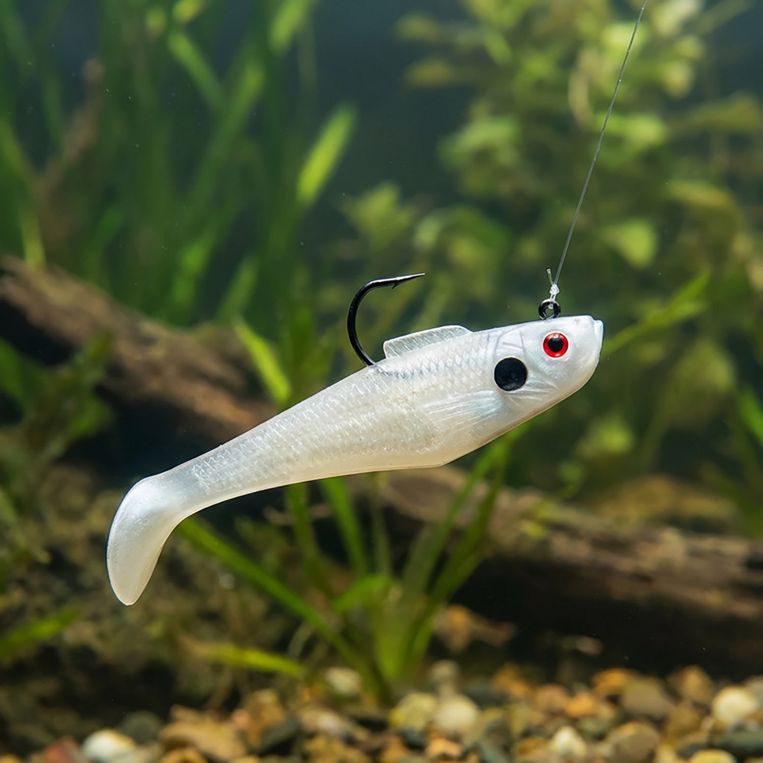 Tsunami Holographic Swim Shad Baits 3-Pack - view number 5