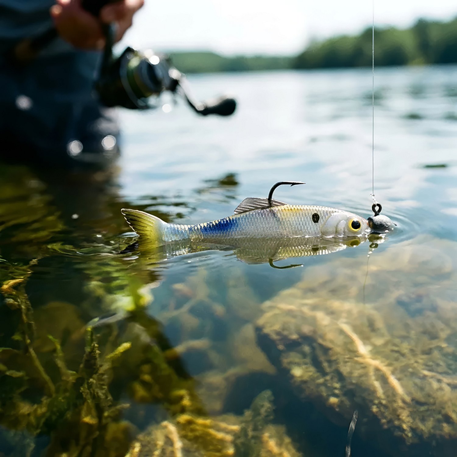6th Sense Panorama 2.75 in Soft Baits 8-Pack - view number 2