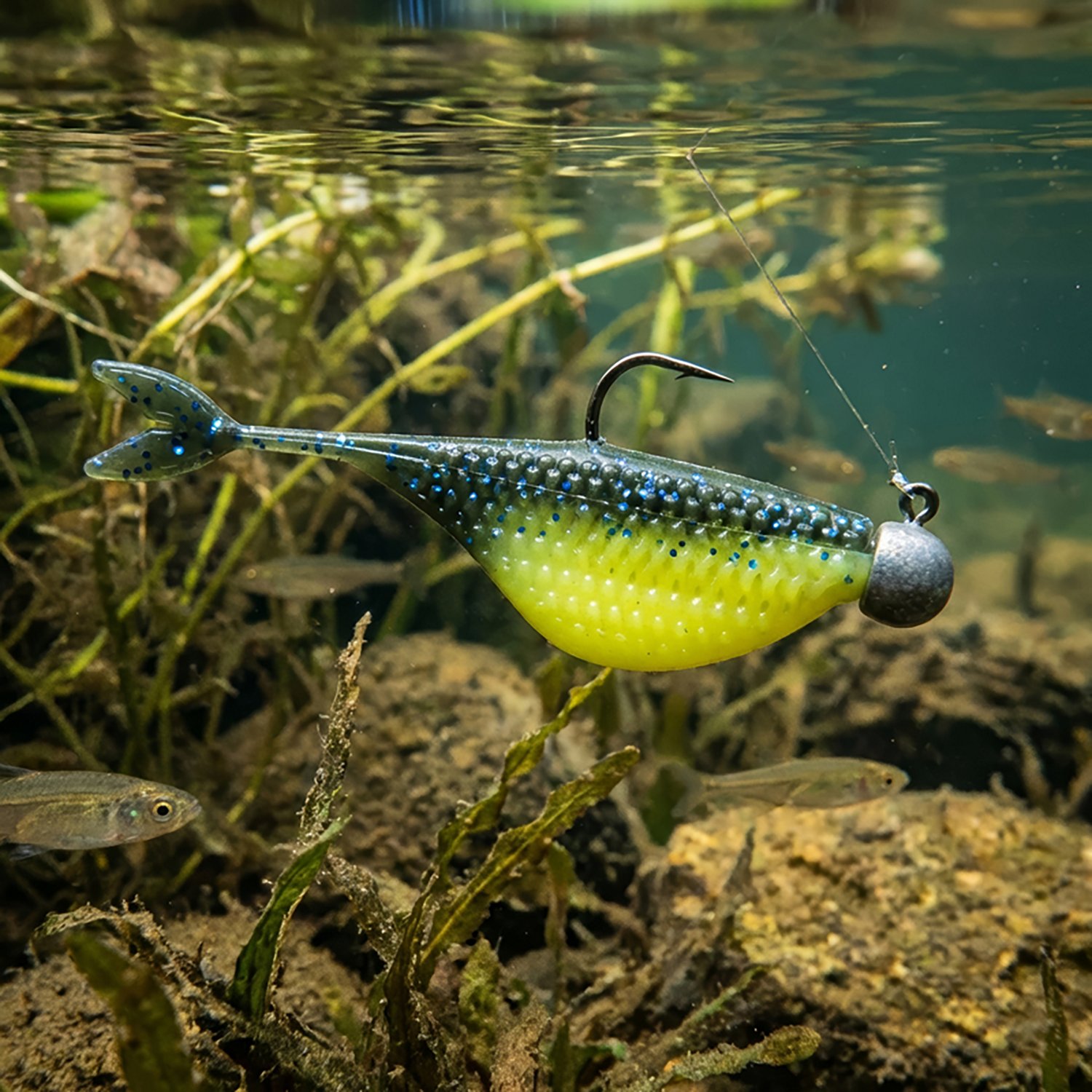 6th Sense 2 in Clobber Minnow 12-Pack - view number 2