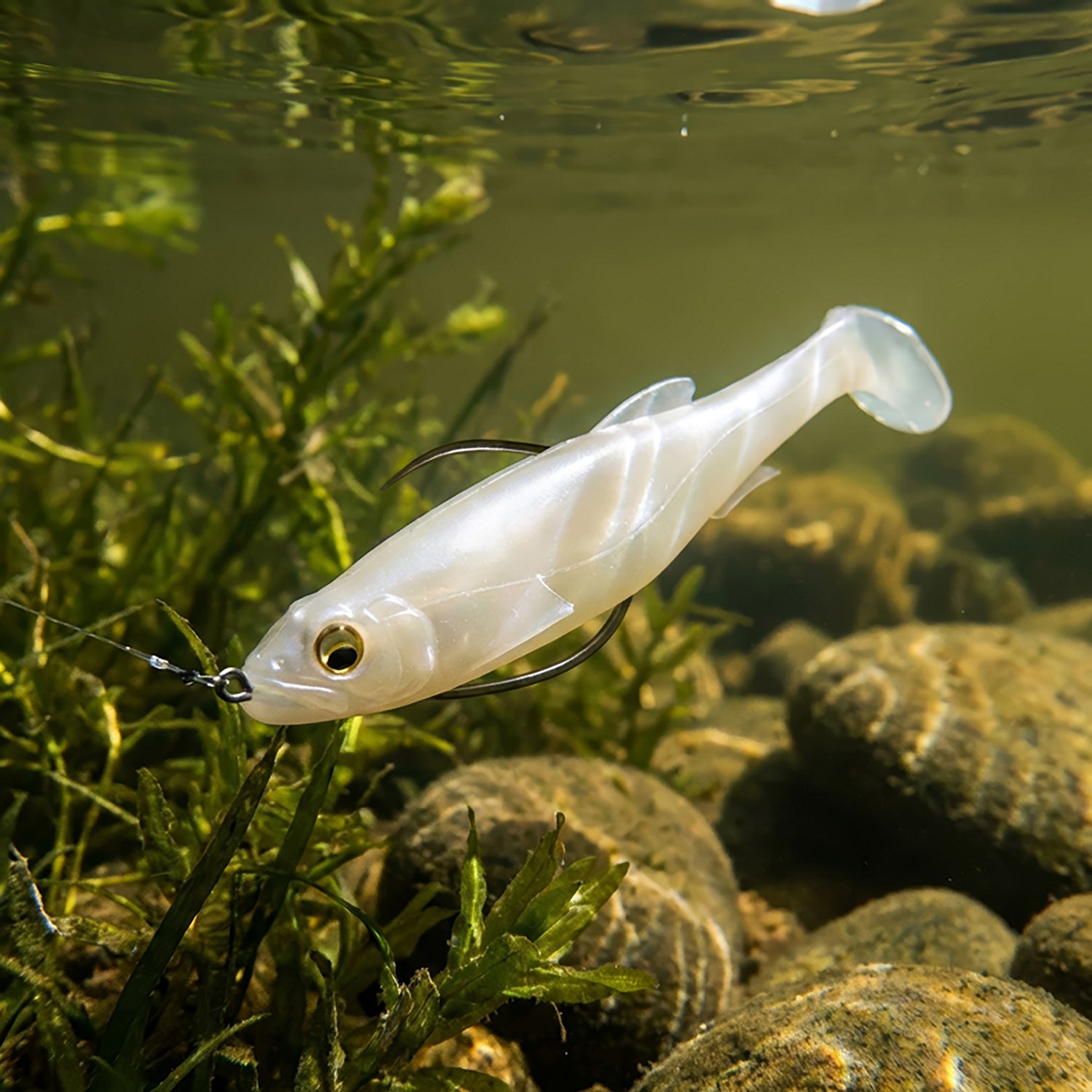 Megabass Magdraft Freestyle 6 in Bait - view number 2