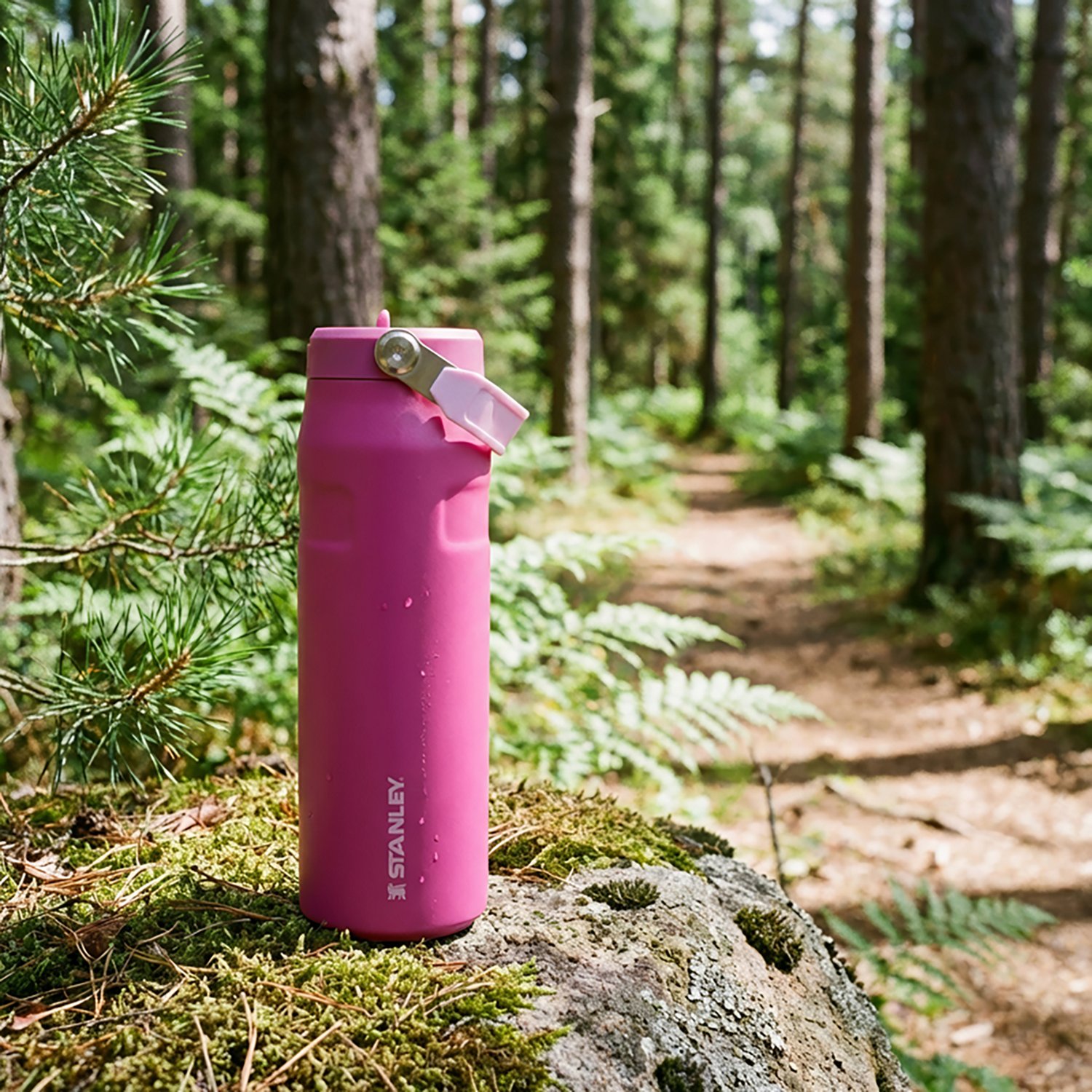 Stanley IceFlow 24 oz Bottle with Flip Straw Lid - view number 4