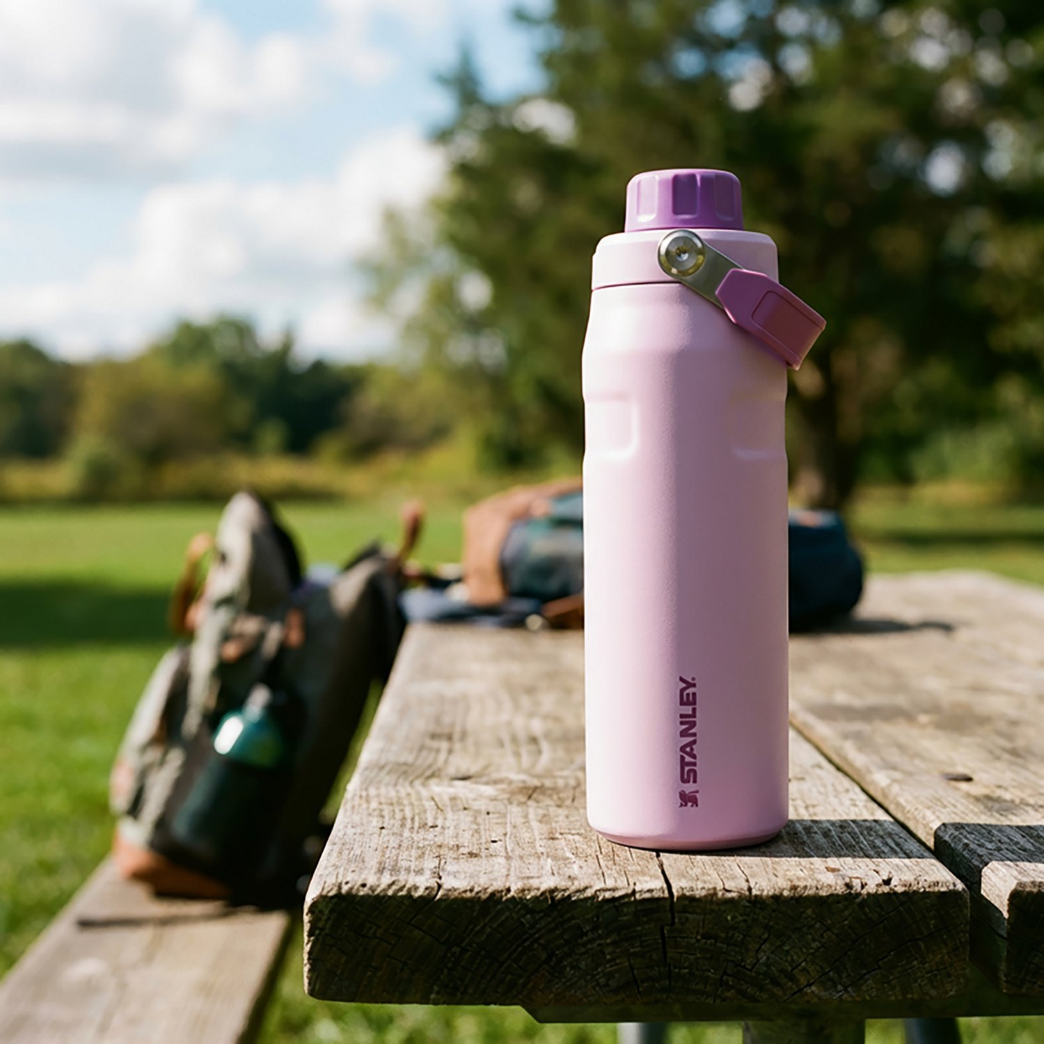 Stanley IceFlow 24 oz Bottle with Flip Straw Lid - view number 4