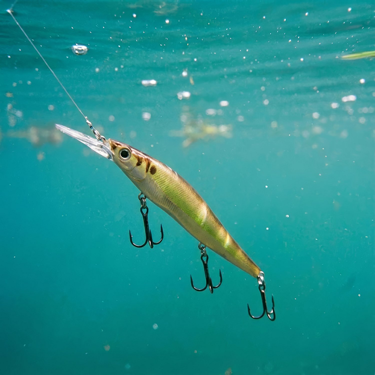 H2OX Deep Jerk Shad - view number 3