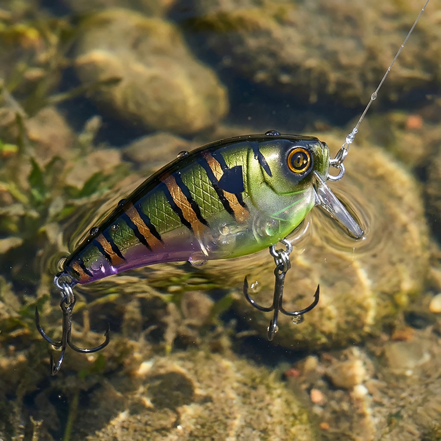 H20X Wake Bait - view number 3