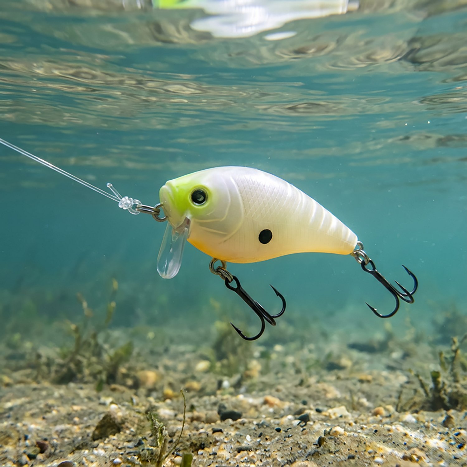H20X Wake Bait - view number 3