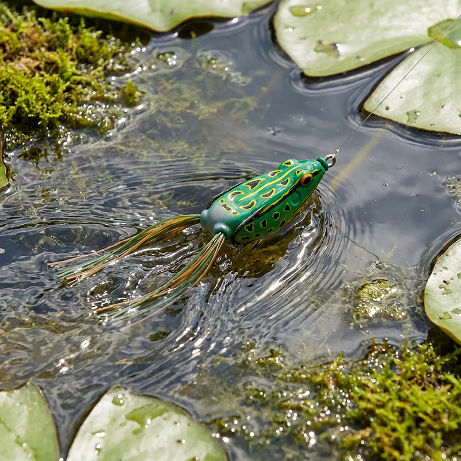 H20X Hollow Body Frog Bait - view number 2