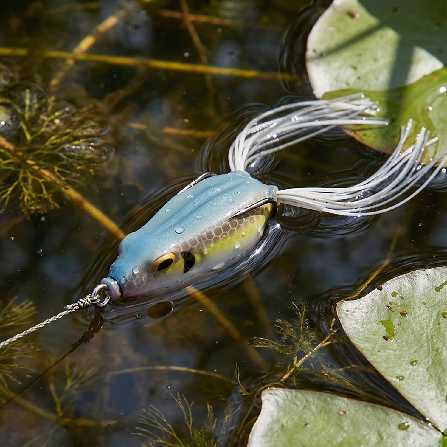 H20X Hollow Body Frog Bait - view number 2