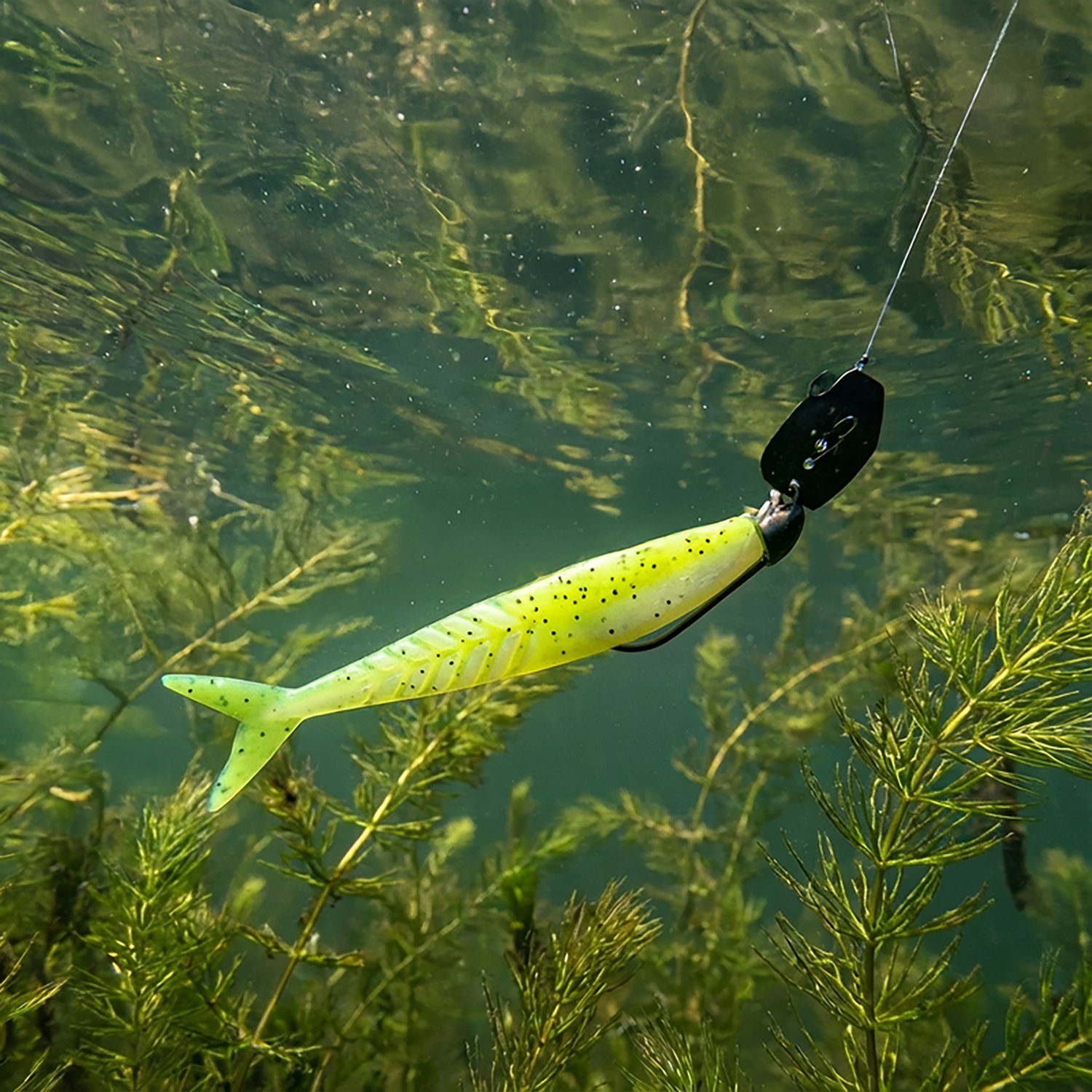 Zoom Shimmer Shad Baitfish Baits 5-Pack - view number 2