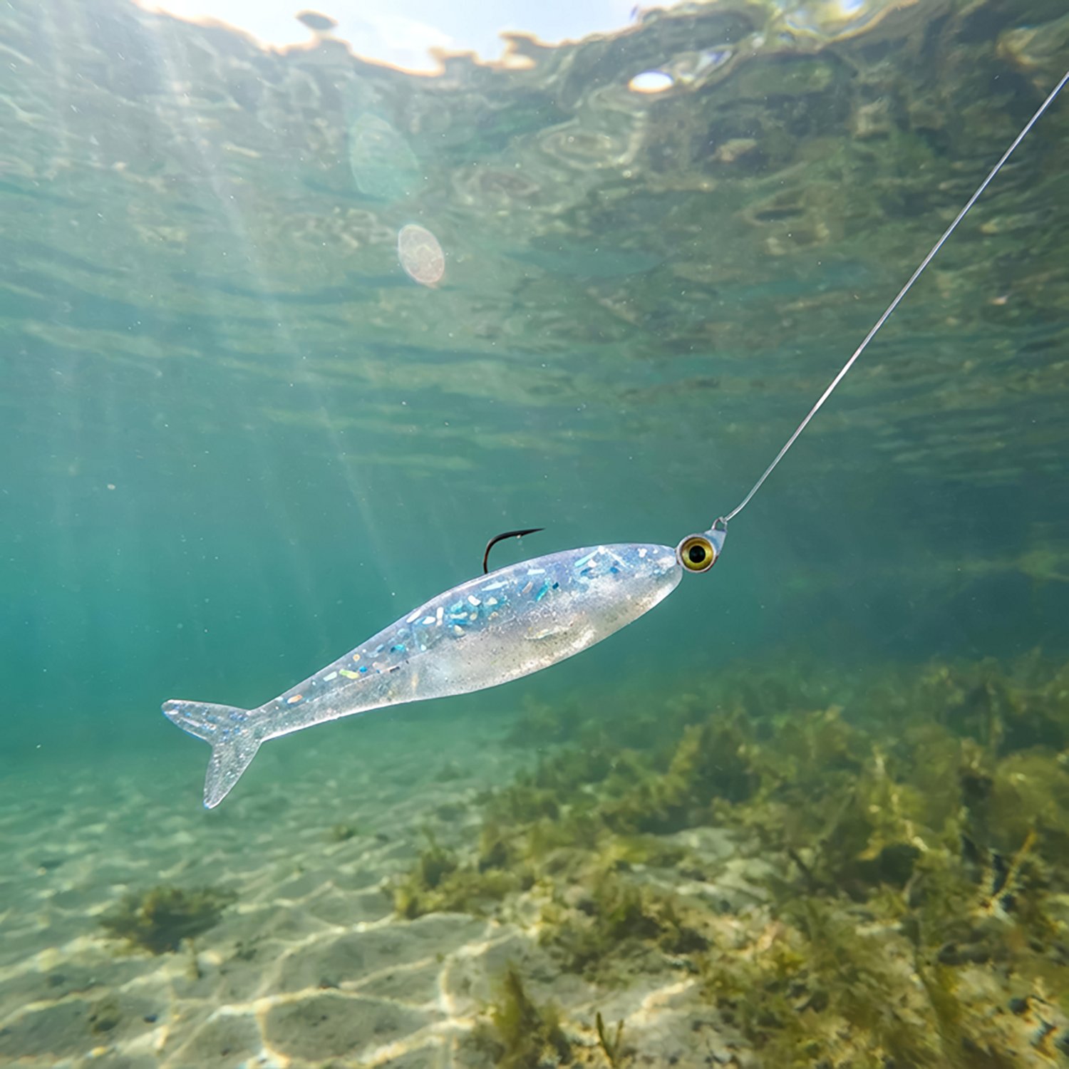 Bobby Garland Live Roam'R Bluegrass Soft Baits 15-Pack - view number 2