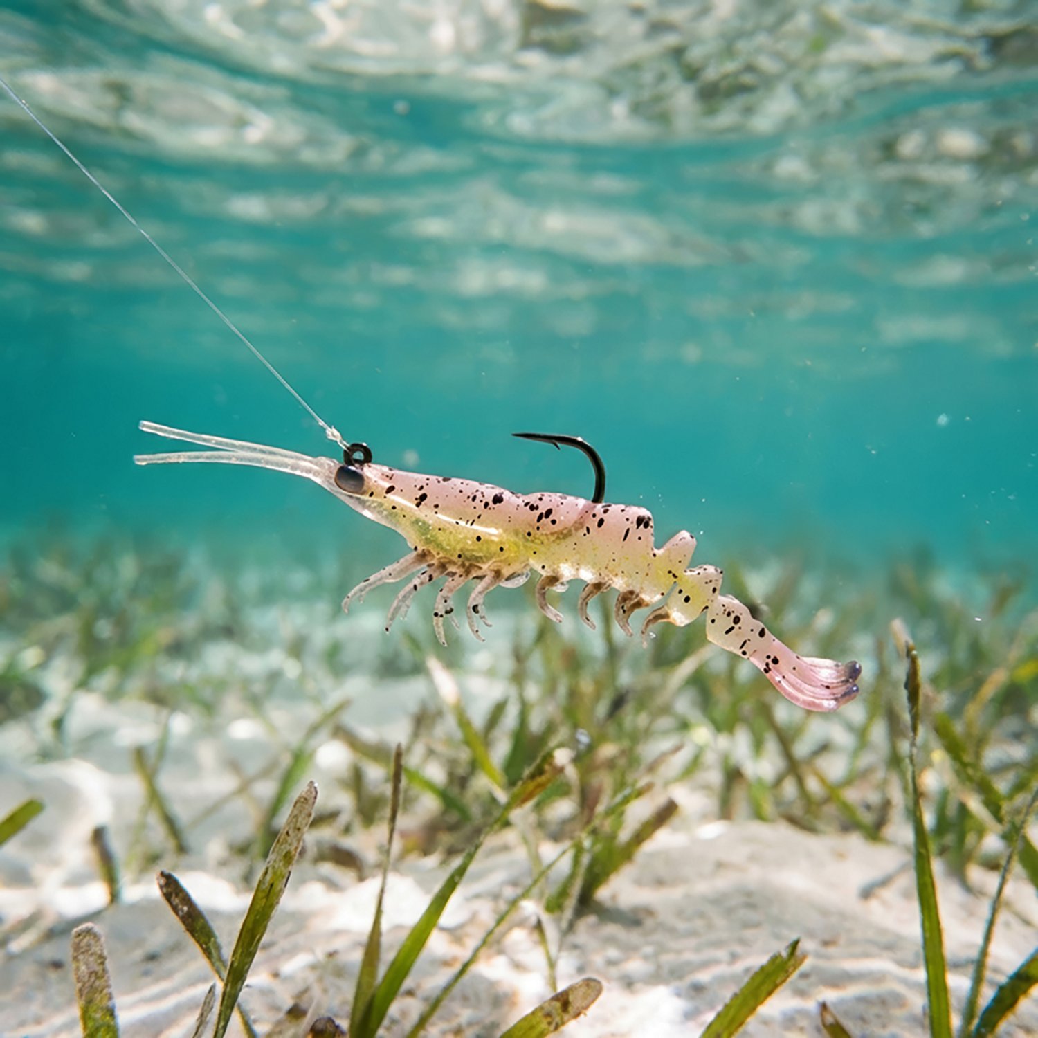 Z-Man PrawnStarZ 3.5 in Pre-rigged Shrimp Soft Bait - 2 Pack - view number 2