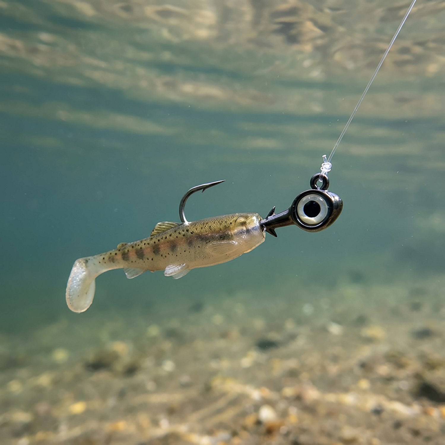 Z-Man Trout Eye X 1/8 oz Jigheads 3-Pack                                                                                         - view number 2