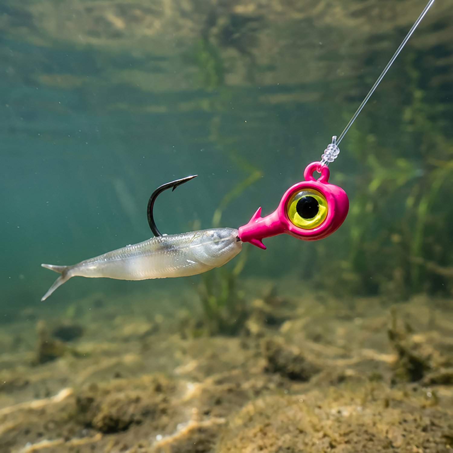 Z-Man Trout Eye X 1/8 oz Jigheads 3-Pack                                                                                         - view number 2