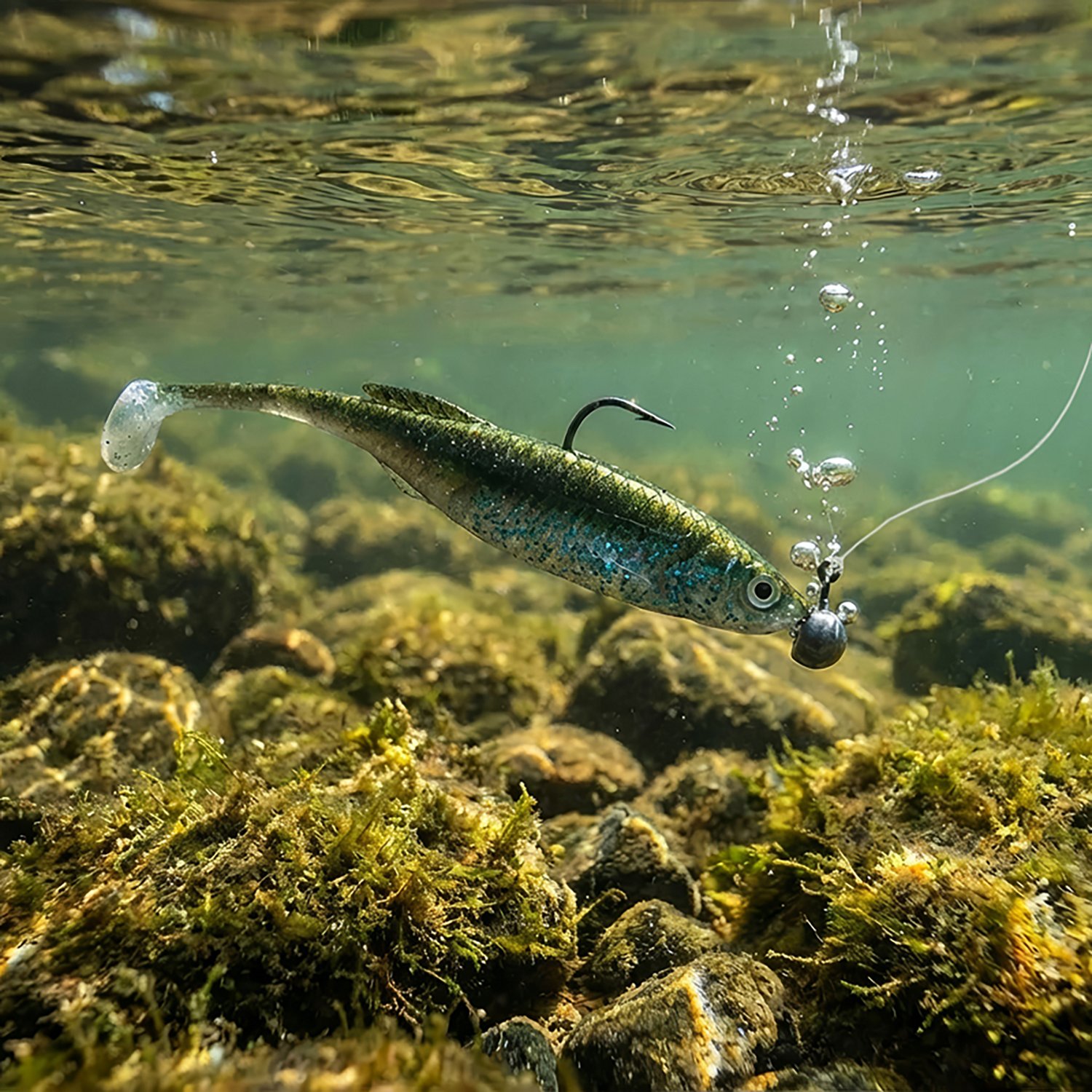 Berkley PowerBait Drip Swimmer 5-Pack                                                                                            - view number 2