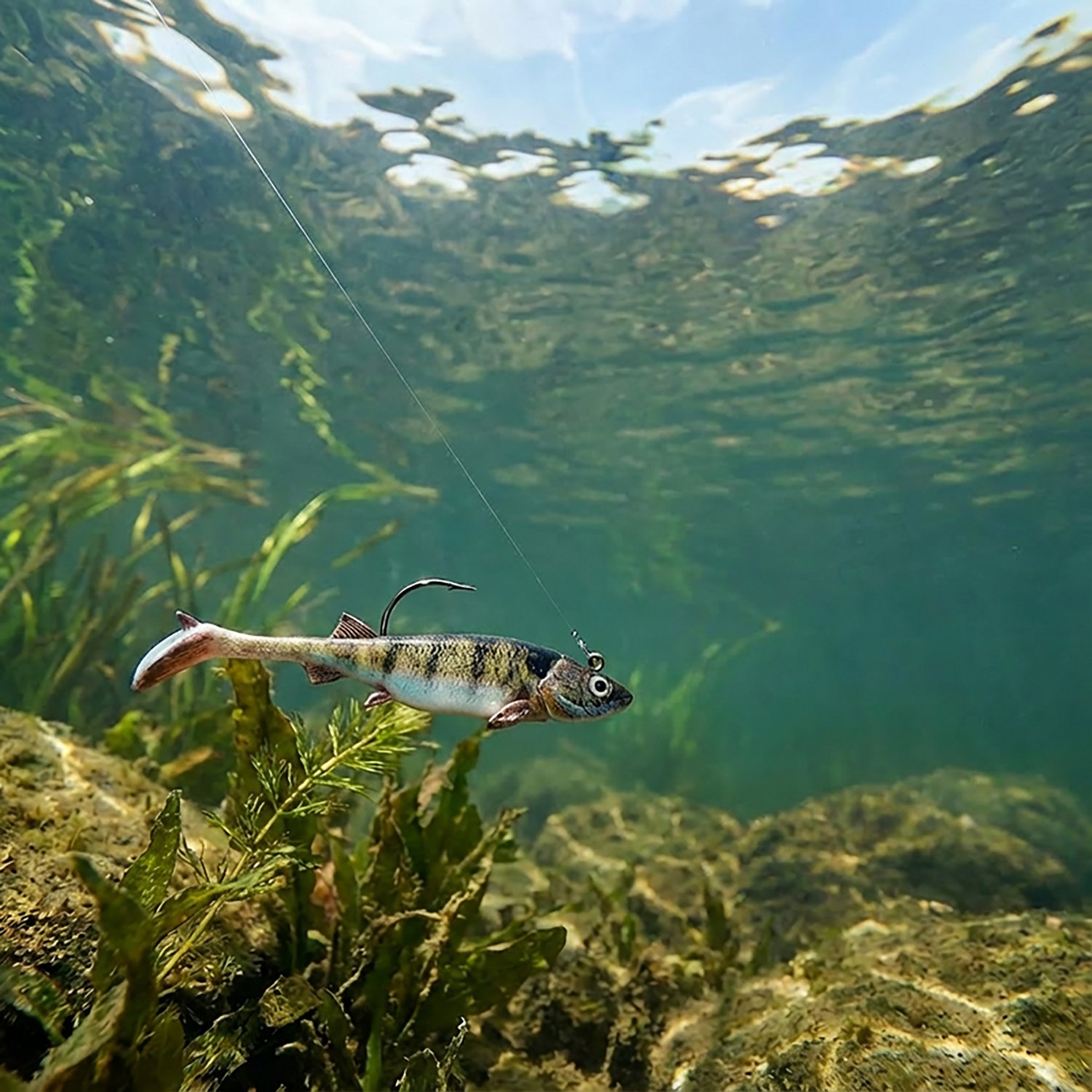 Berkley PowerBait Minnotator 2-Pack - view number 2