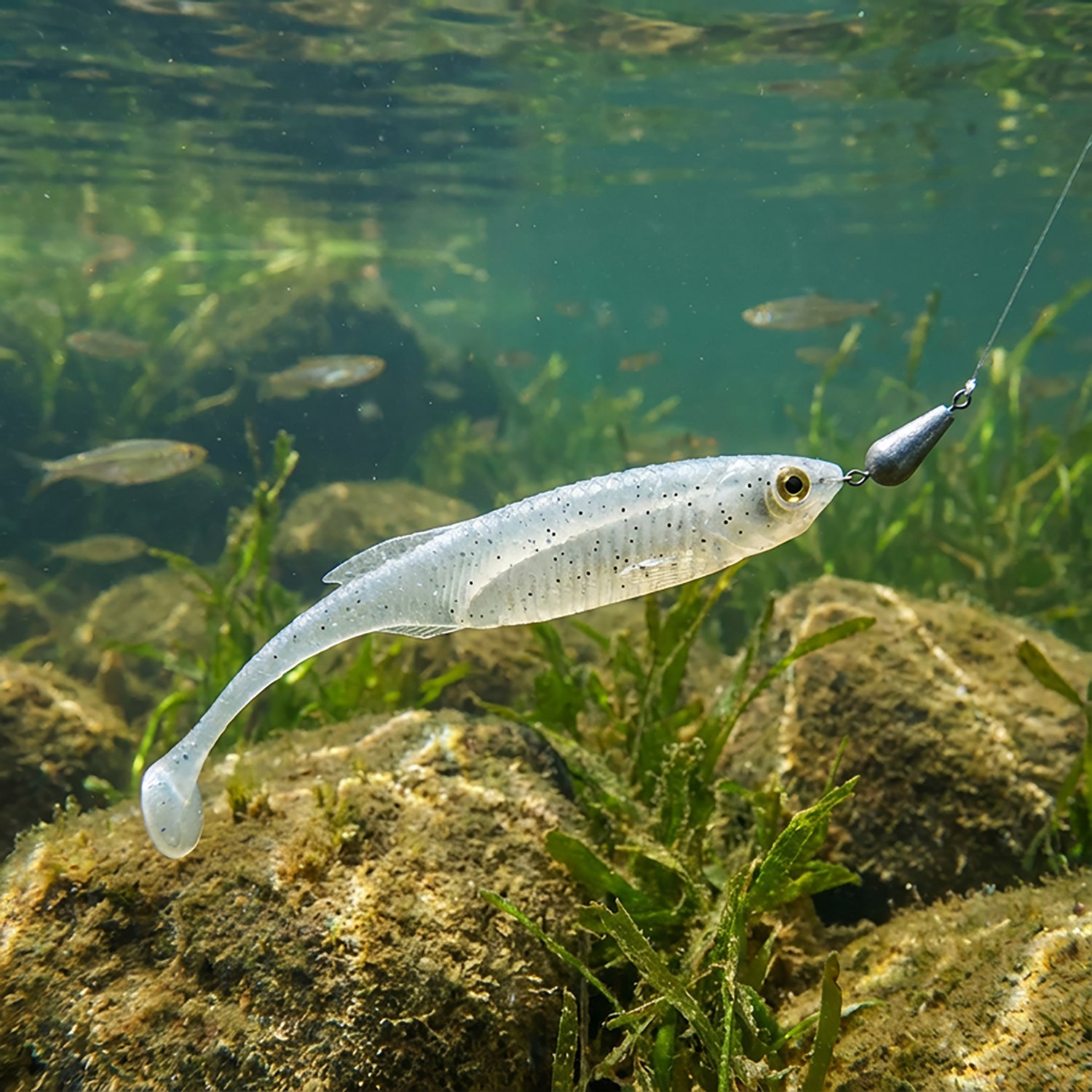 Berkley PowerBait Drip Minnow 5-Pack - view number 2