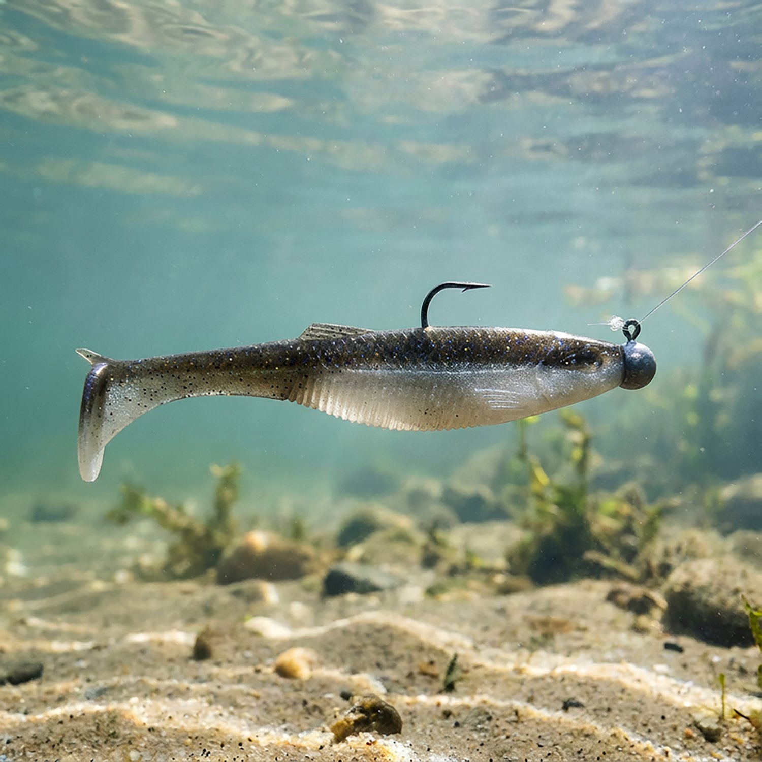 CrushCity Mayor 2.5 in. 8-Pack