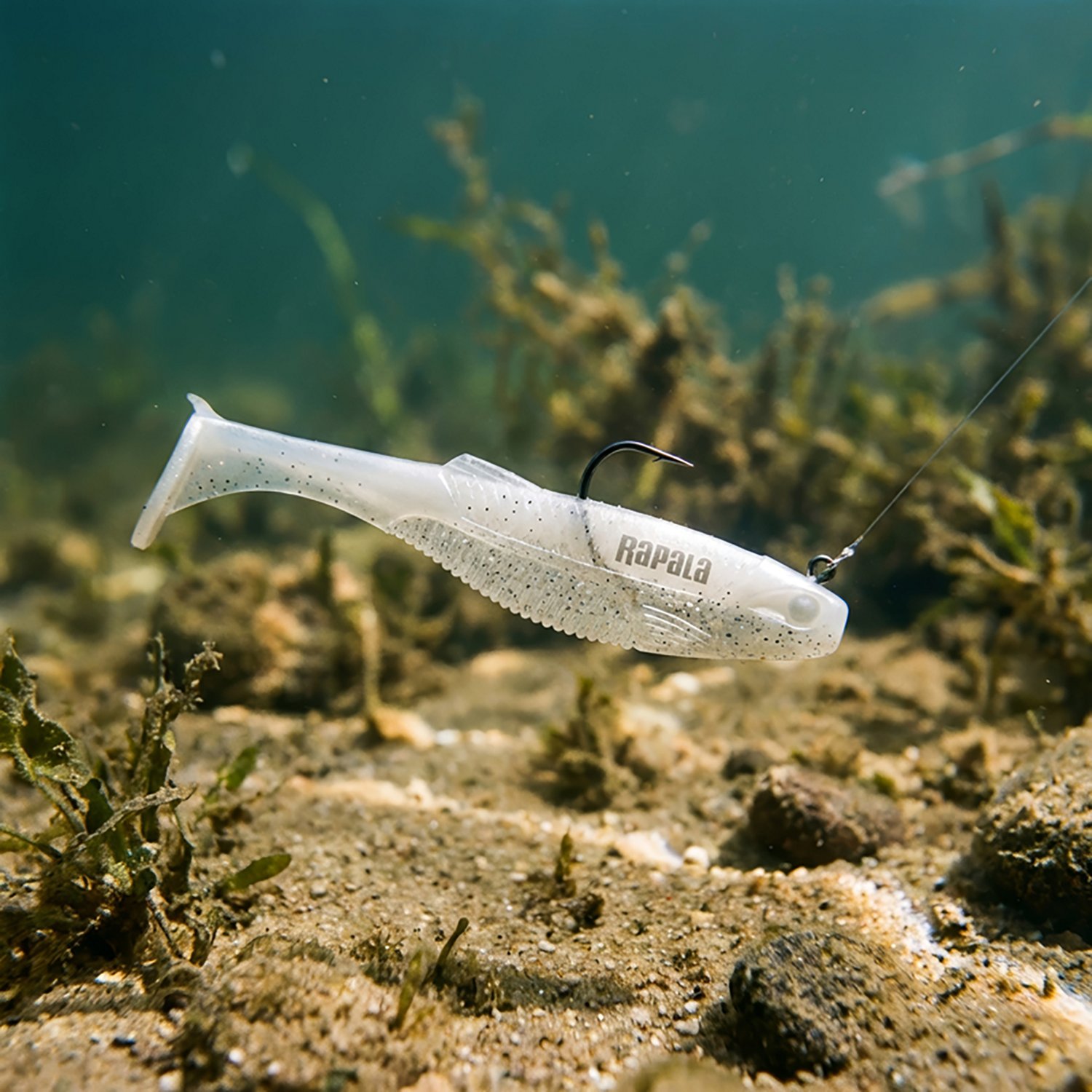 CrushCity Mayor 2.5 in. 8-Pack - view number 2