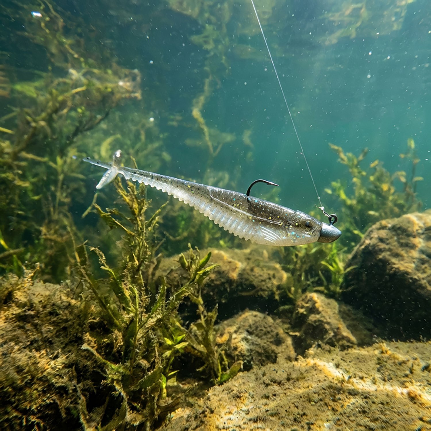 CrushCity Mooch Minnow 6-Pack - view number 2