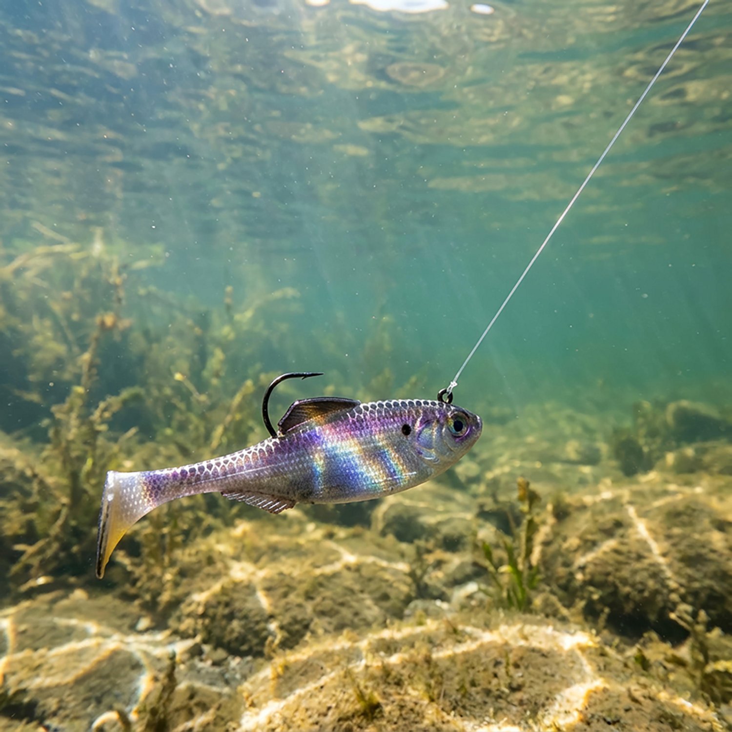 6th Sense Panorama Rigged Plastic Swim Bait 2.0 4-Pack - view number 2