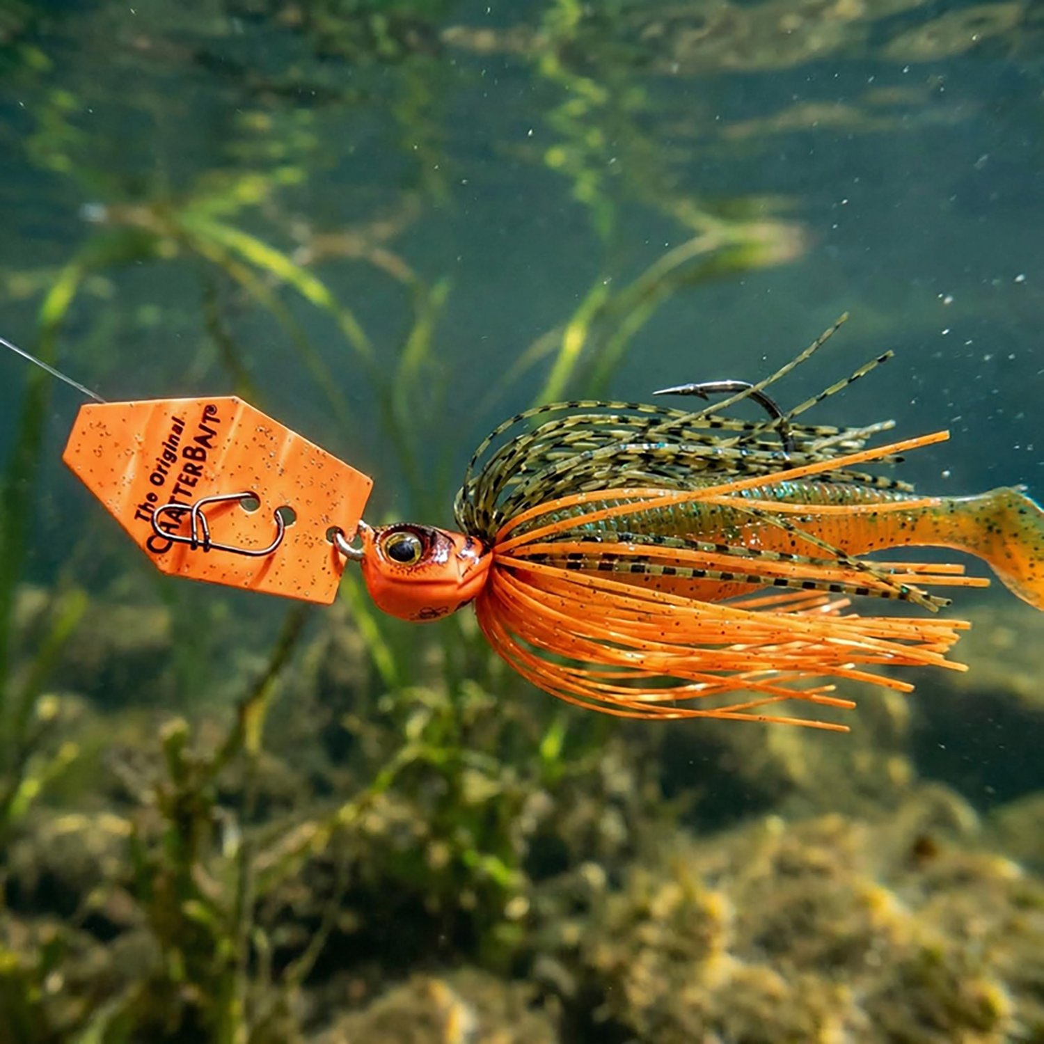 Z-Man Tungsten Chatterbait Elite Evo 1/2 oz Jig 1-Pack - view number 2