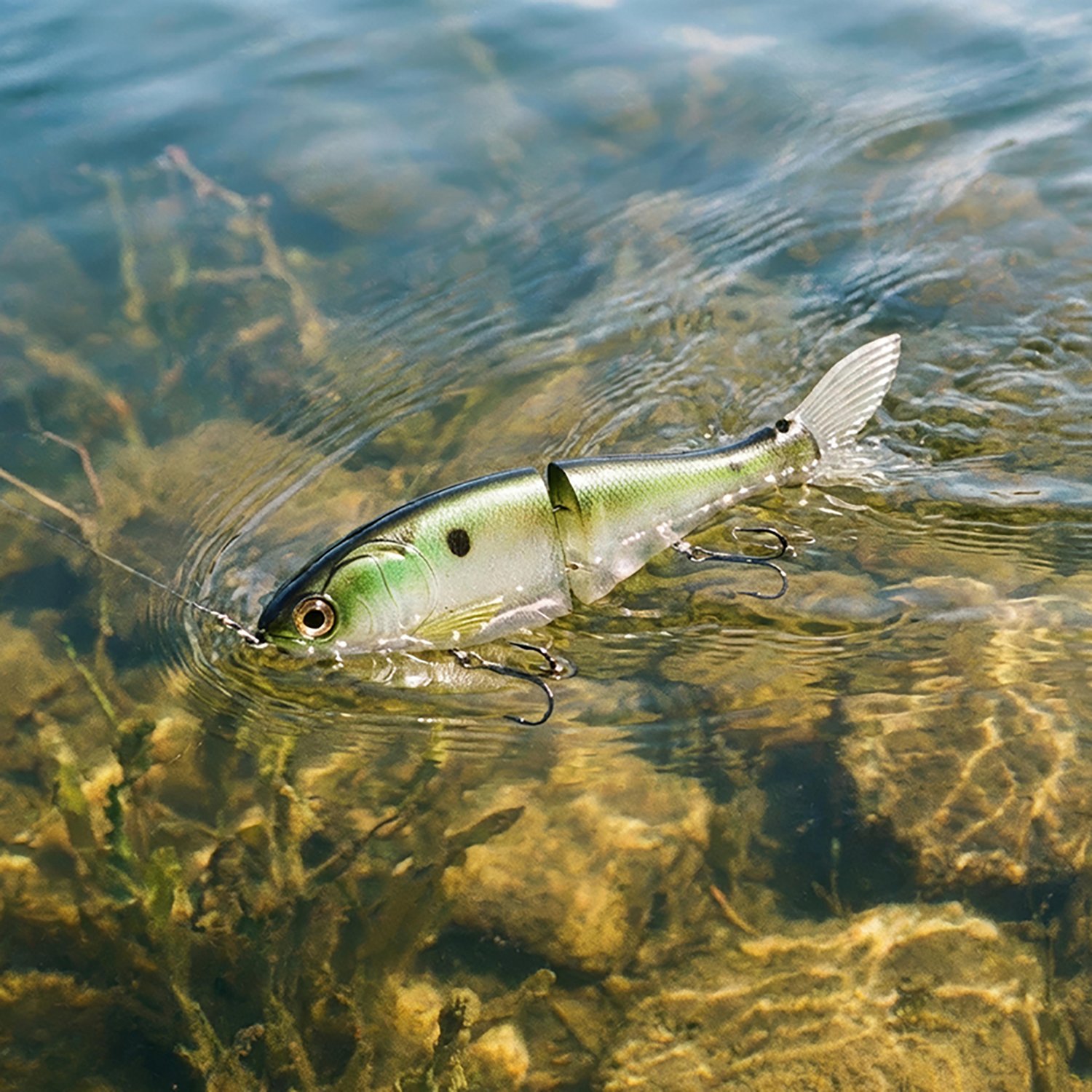 Bucca Trick Shad 6 in Hard Plastic Glide Bait - view number 4