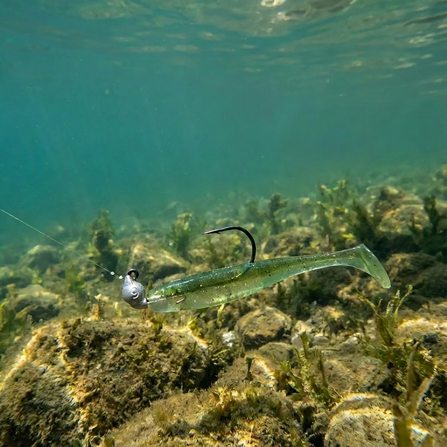 Owner Range Roller Jigheads 4-Pack - view number 2