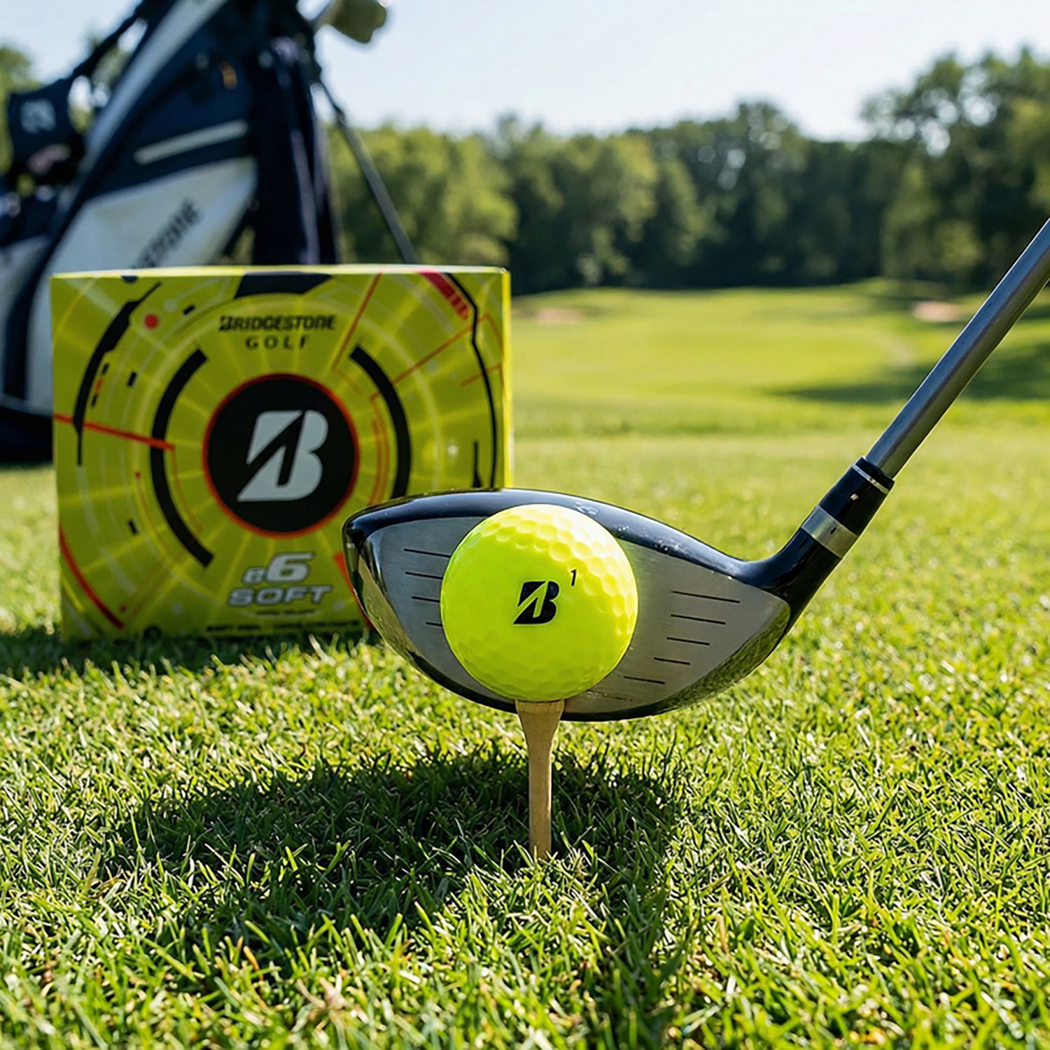 Bridgestone Golf E6 Soft Golf Balls 12-Pack - view number 5