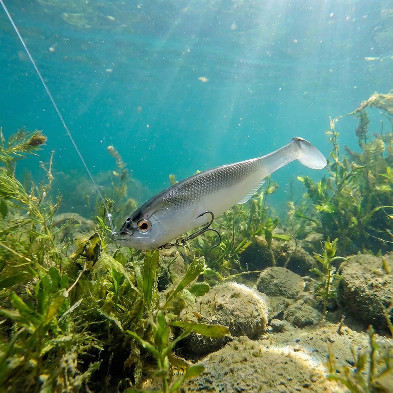 Strike King Final Copy Soft Plastic Swimbait - view number 4