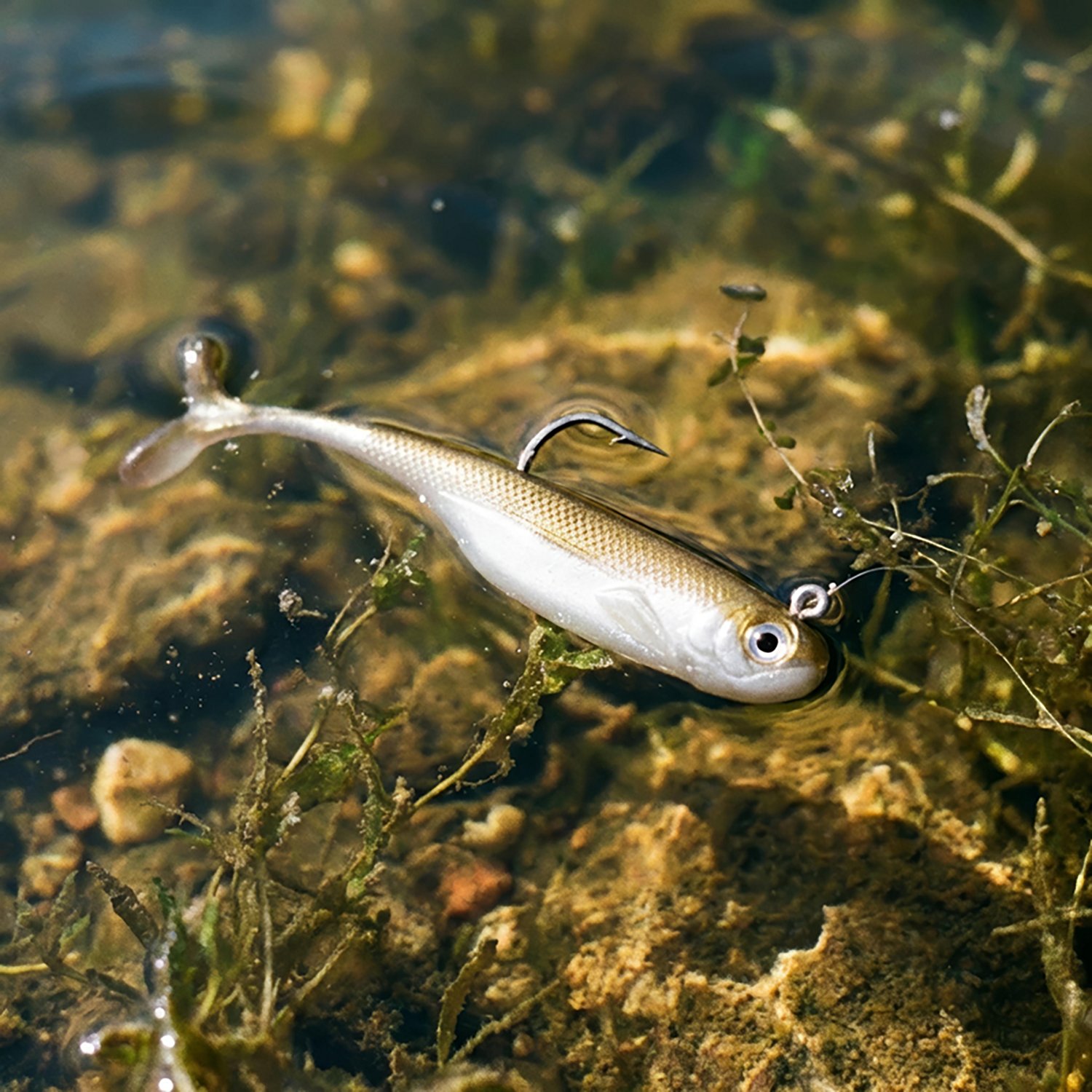 Strike King Pinger Minnow Swim Baits 3-Pack                                                                                      - view number 5