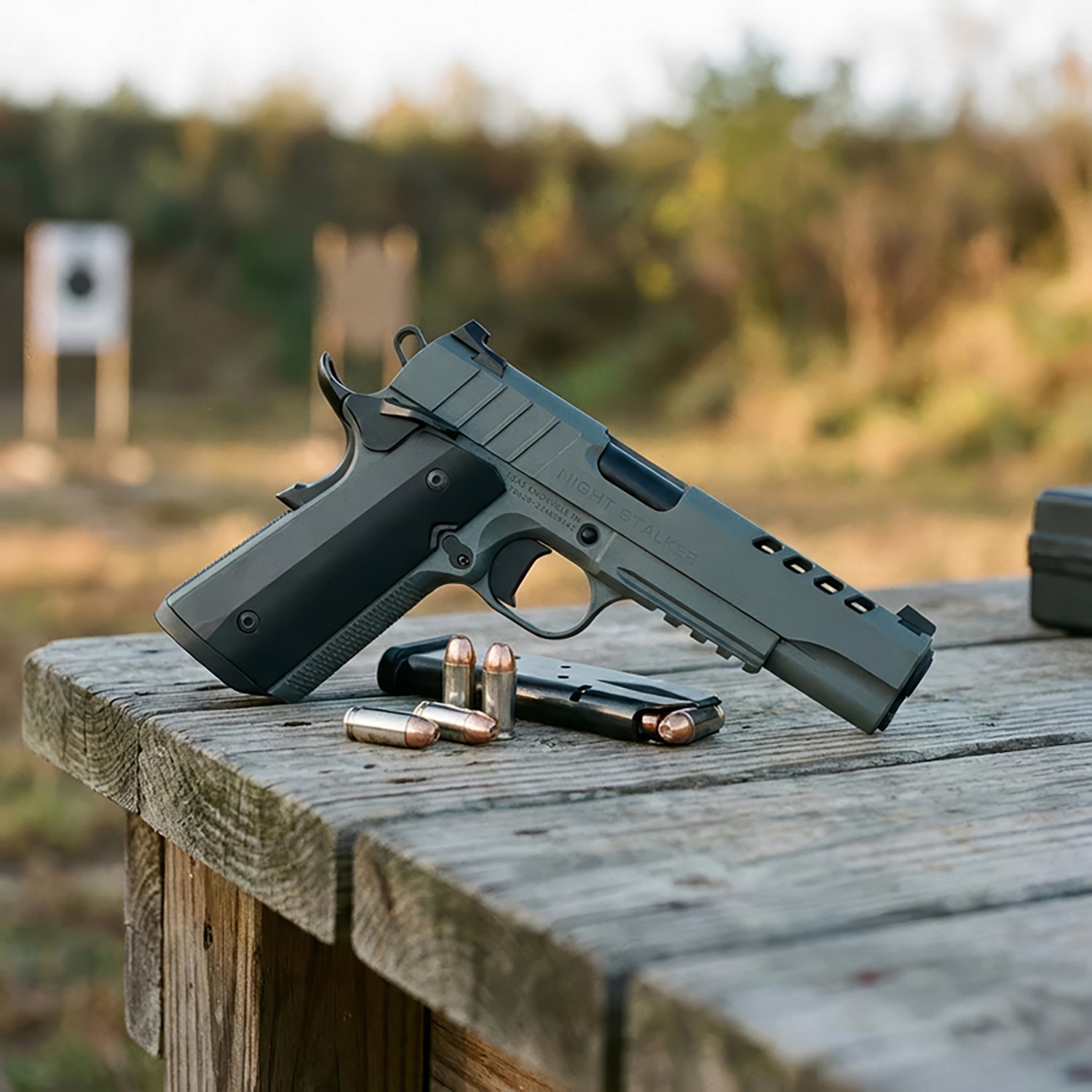 Tisas 1911 Night Stalker .45 ACP Pistol - view number 7