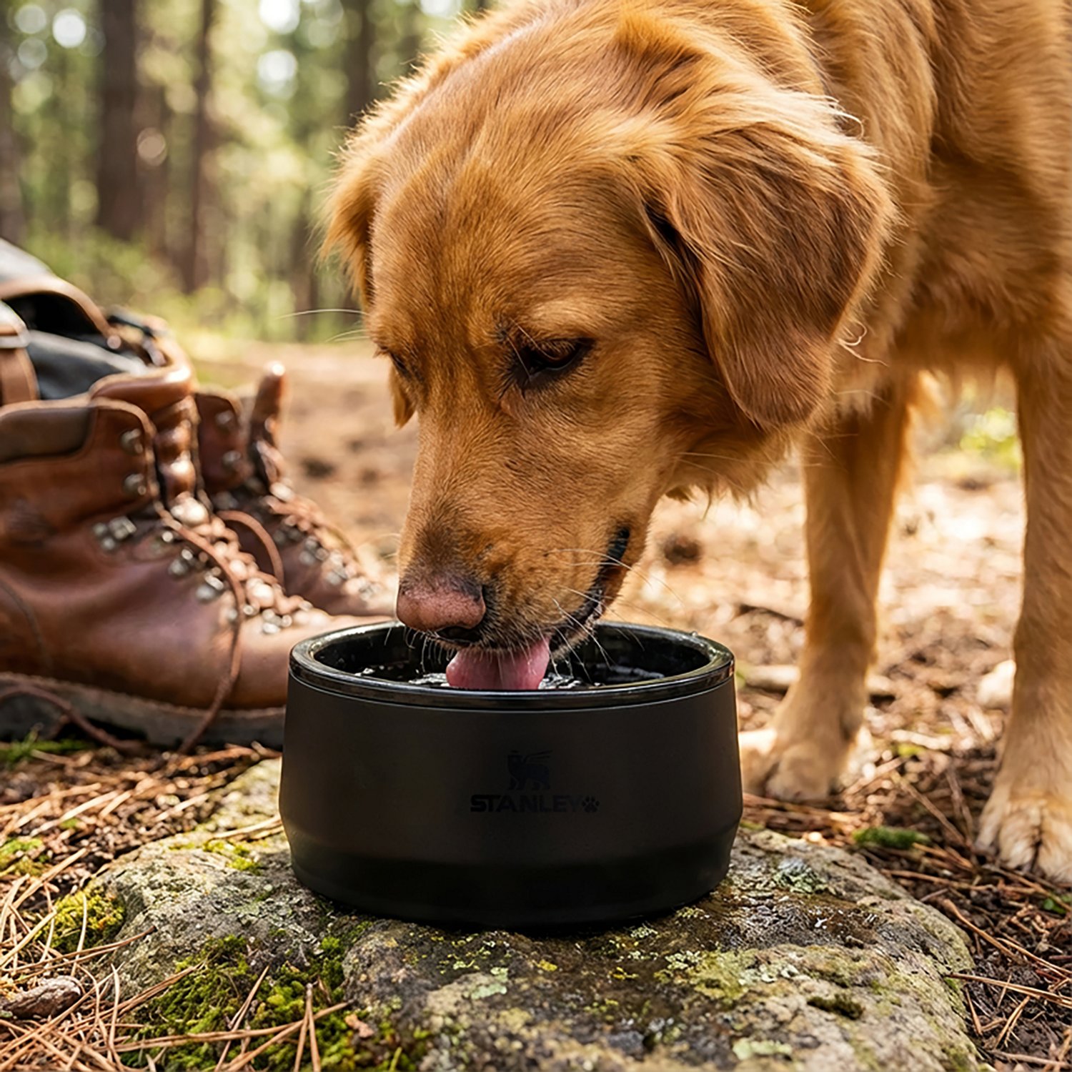 Stanley 24 oz Pet Bowl - view number 7