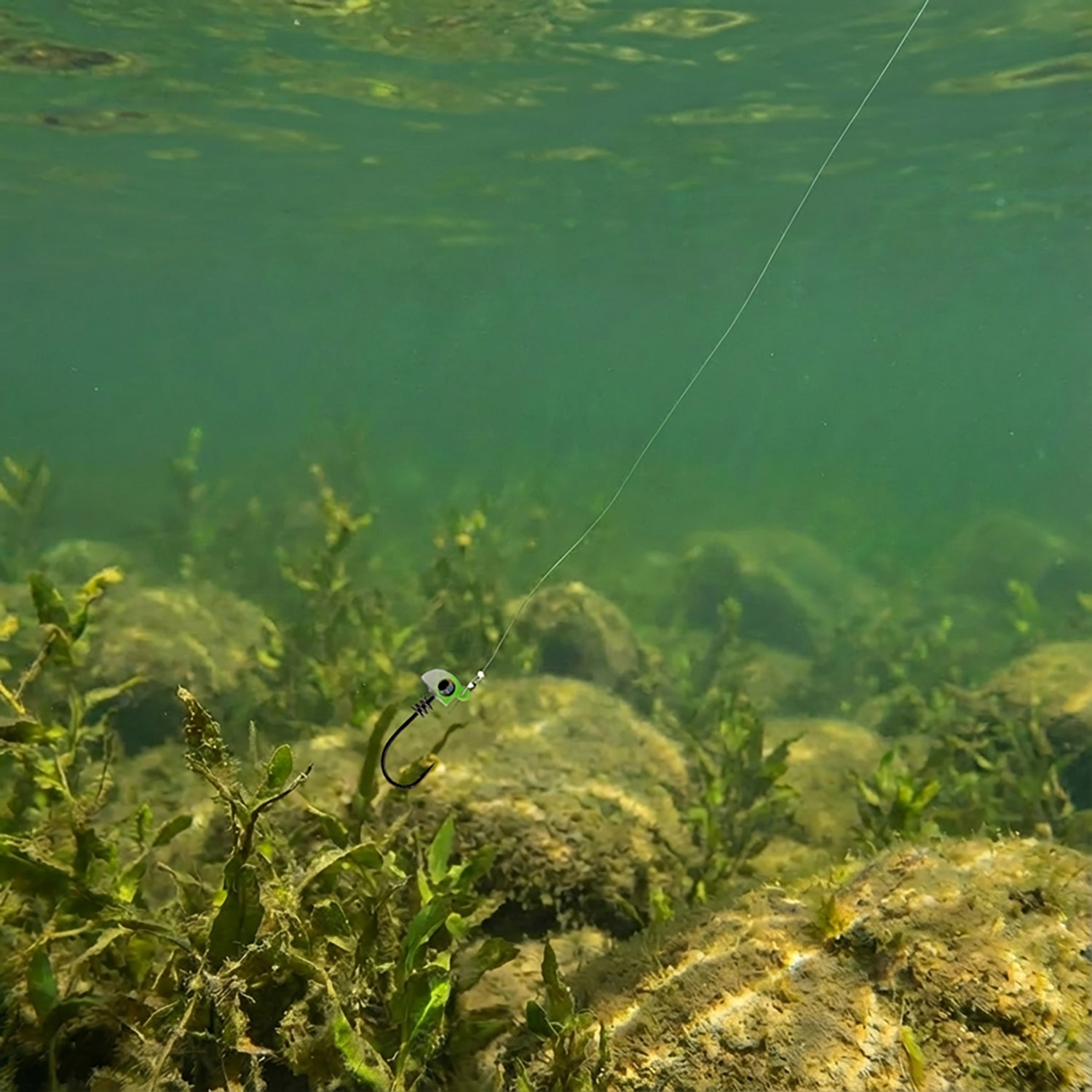 No Live Bait Needed 3 in Jig Heads 3-Pack - view number 2