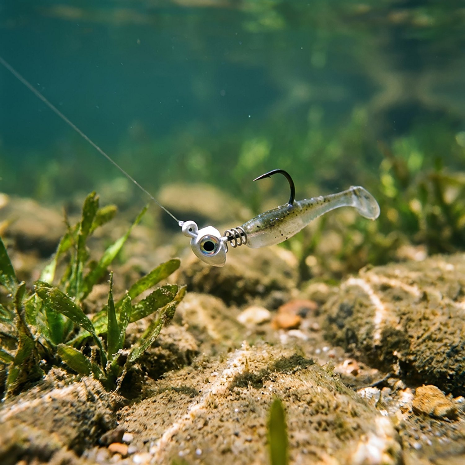 No Live Bait Needed 3 in Jig Heads 3-Pack - view number 2