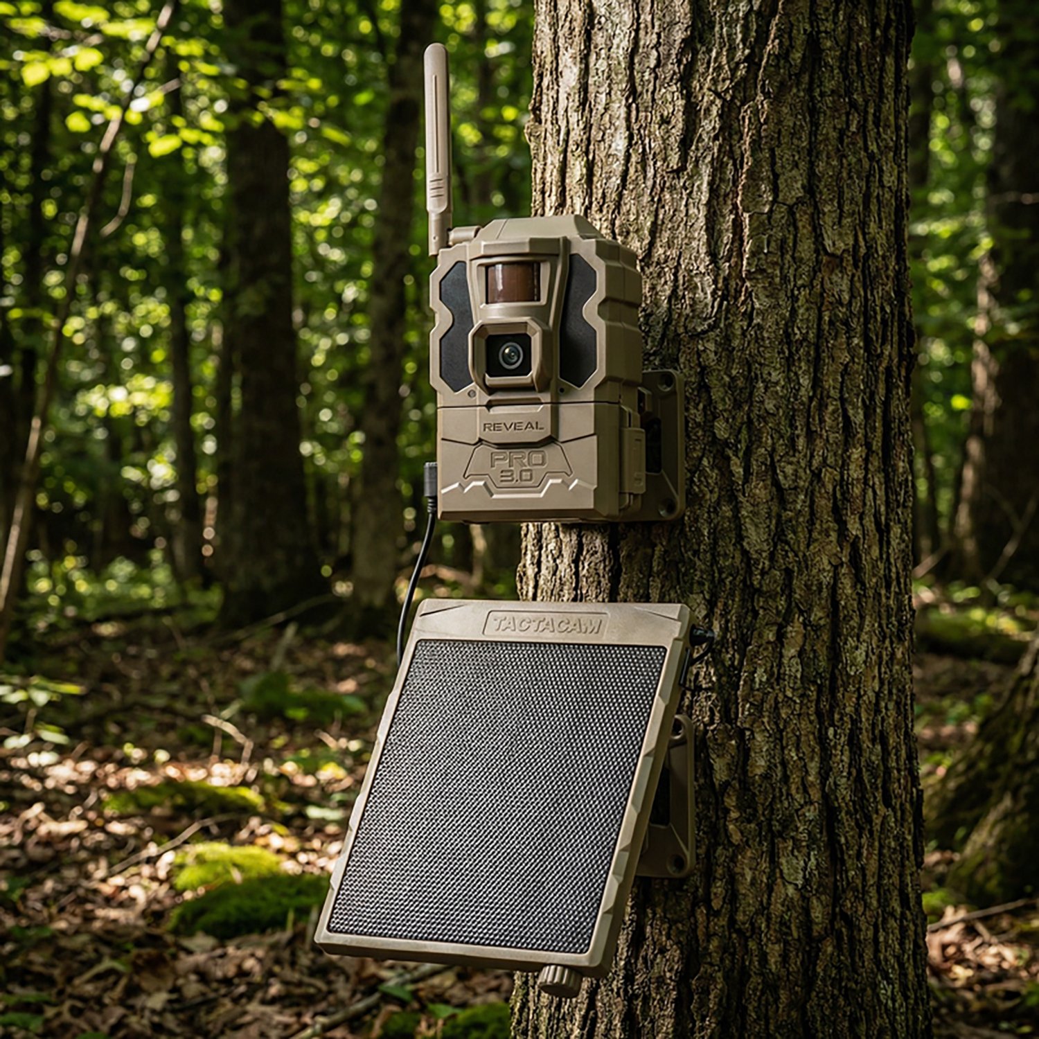 Reveal by Tactacam Pro 3.0 Cellular Trail Camera Bundle