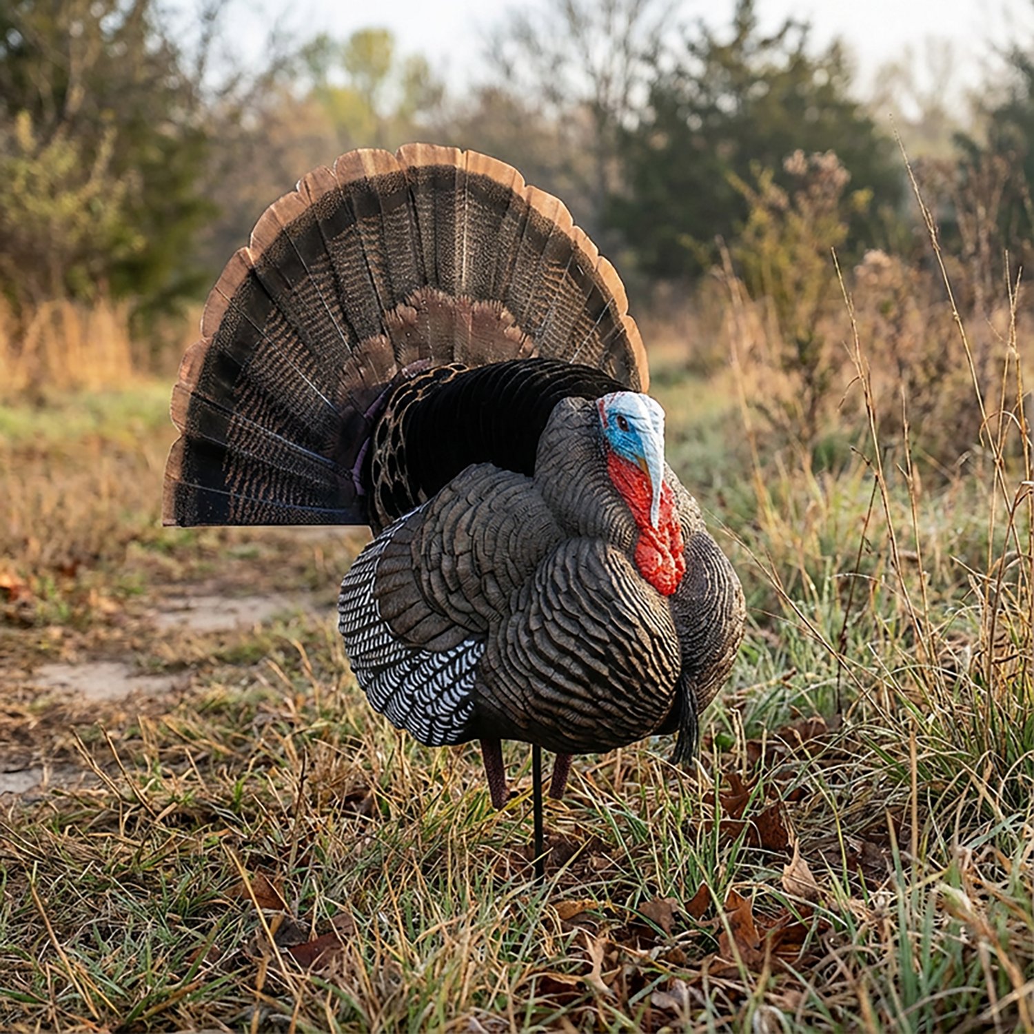 Higdon Apex Strutter Hard Body Turkey Tom - view number 8