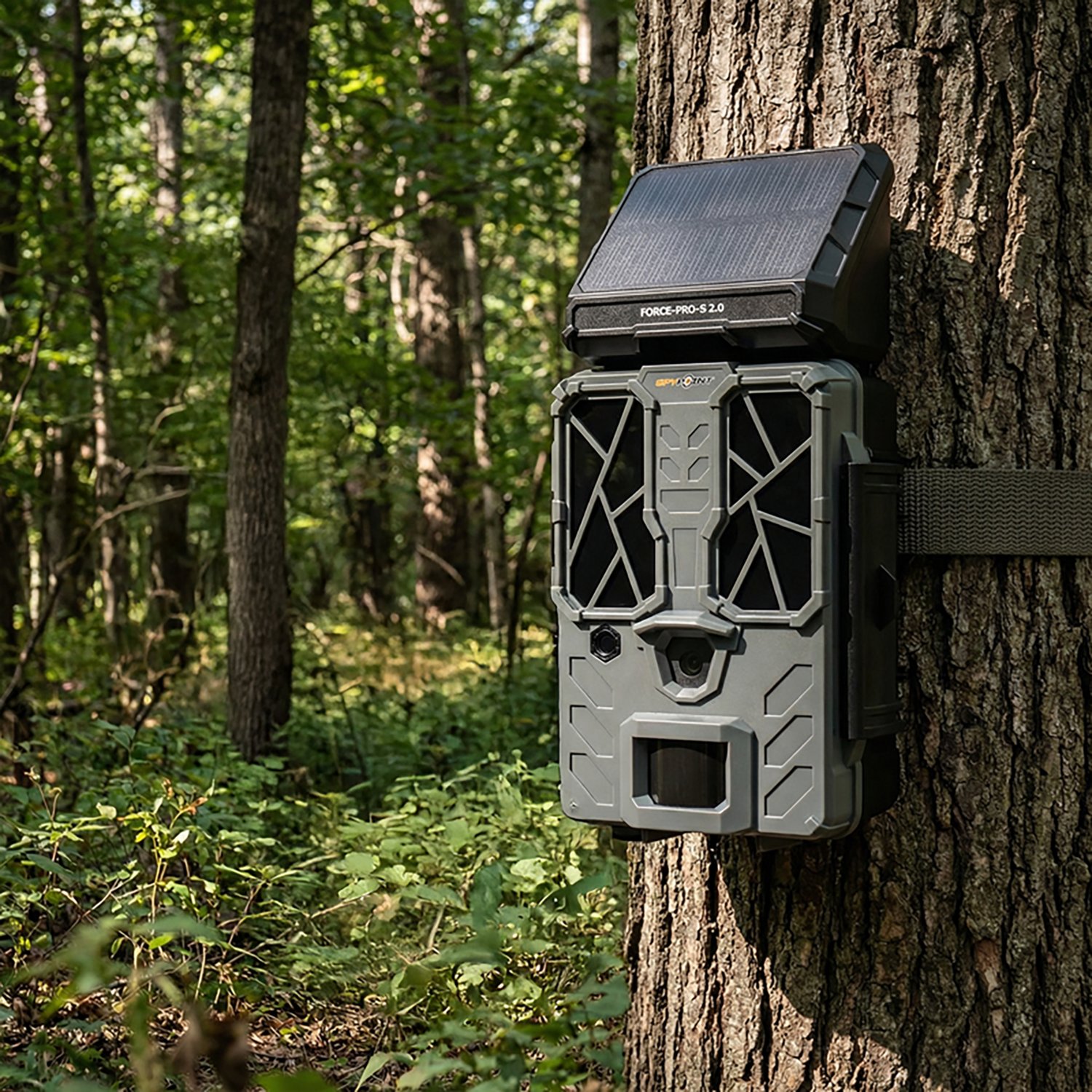 SpyPoint Force-Pro 2.0 Solar Non-Cellular Trail Camera - view number 6