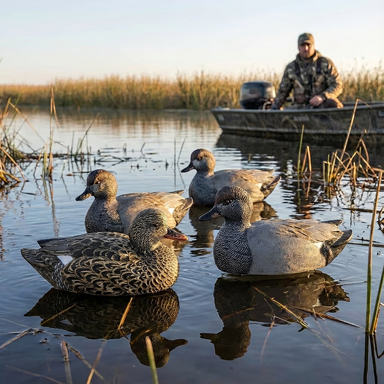 Cupped Gadwall Duck Decoys 6-Pack | Academy