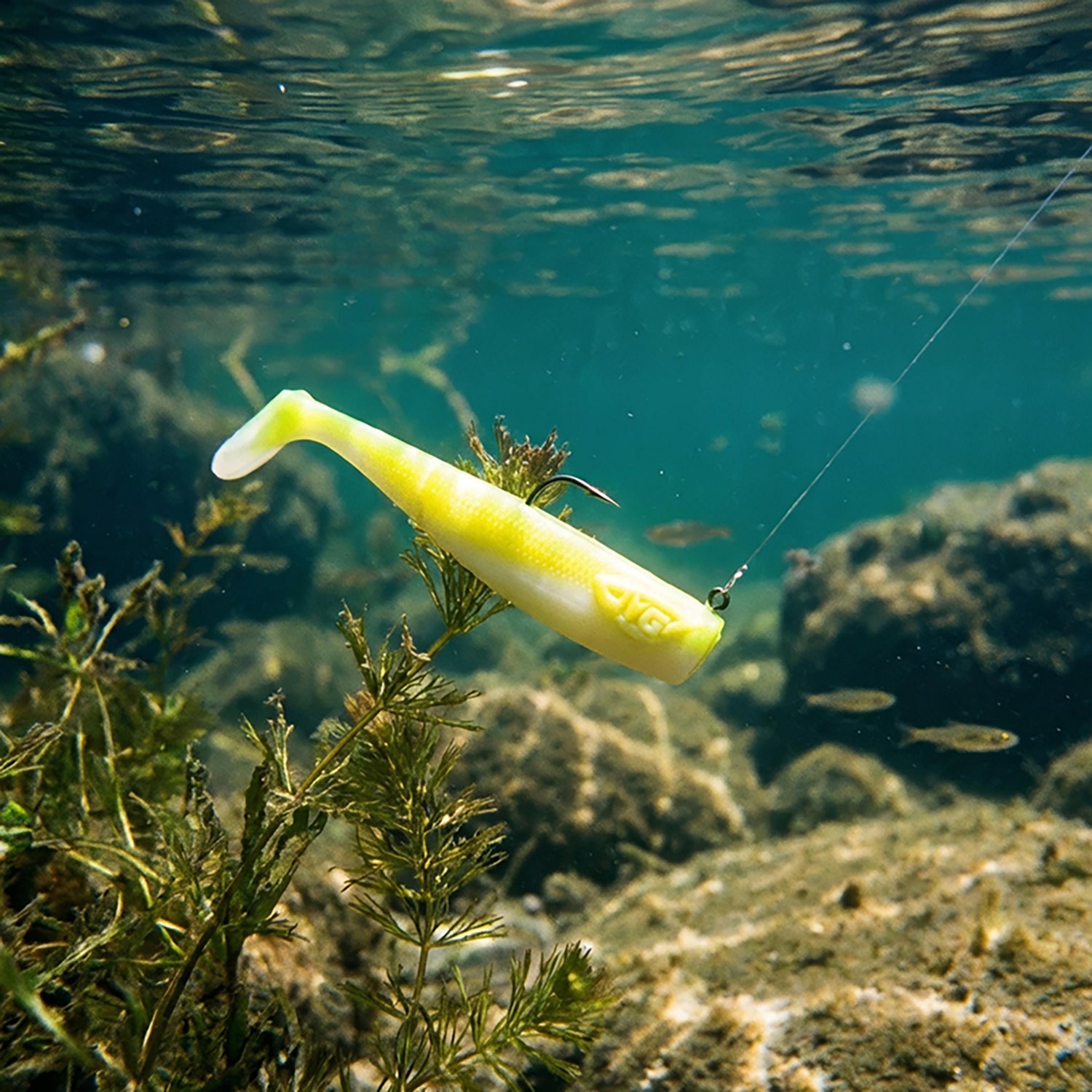 JYG Pro Swym PaddleTail Jigs 6-Pack - view number 2